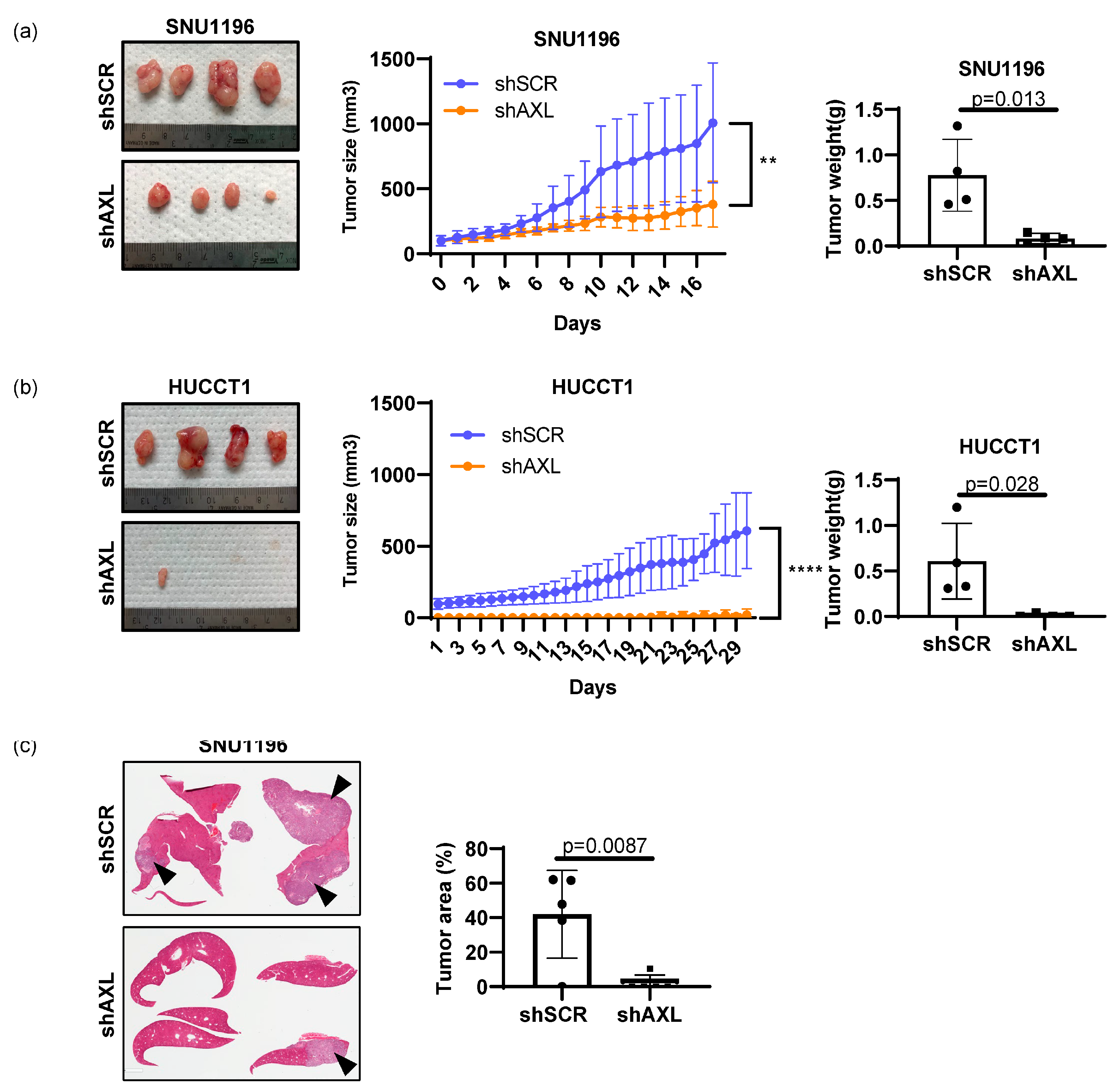 Cancers 15 01882 g004 Cancers 15 01882 g004