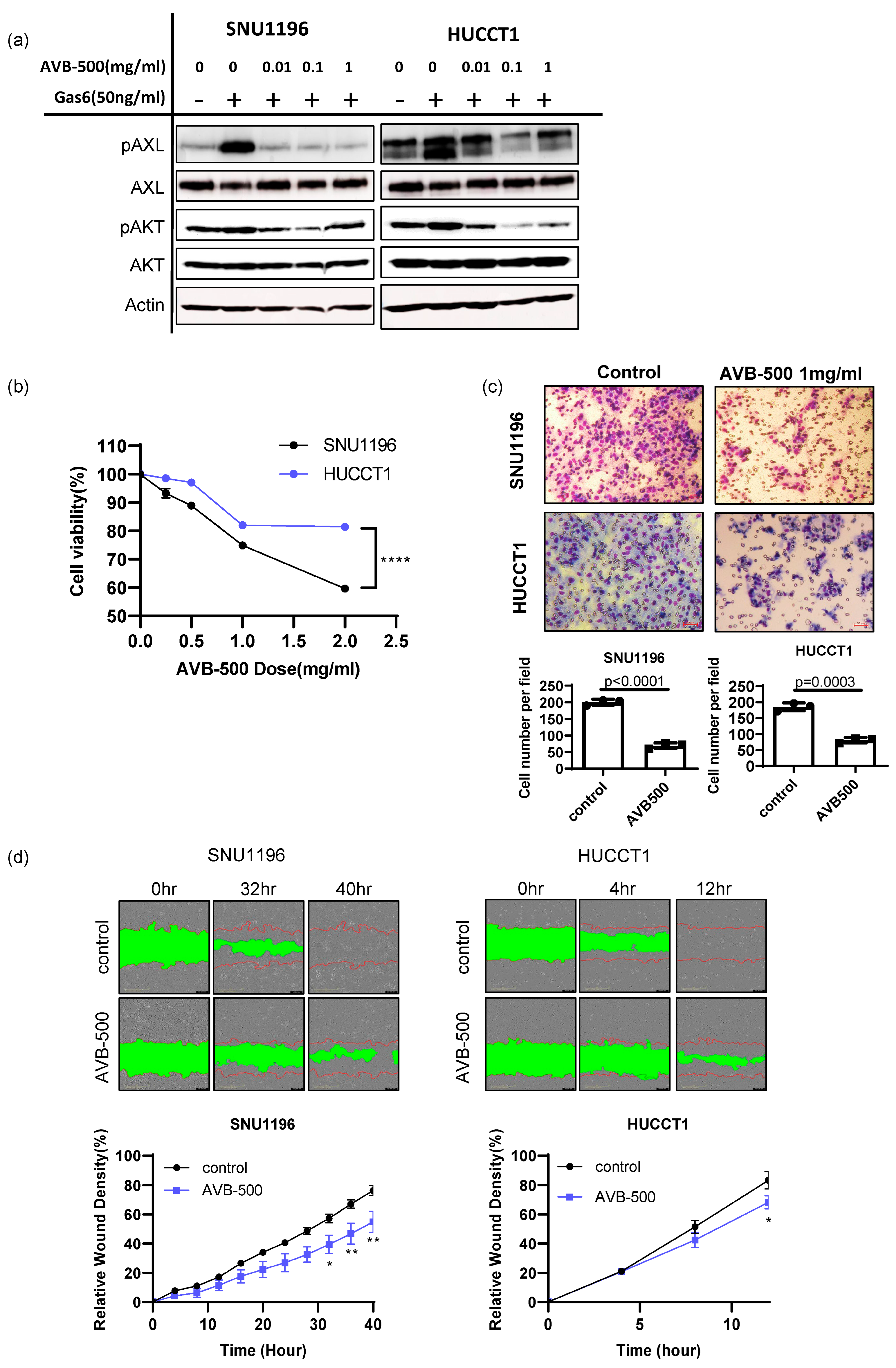 Cancers 15 01882 g005 Cancers 15 01882 g005