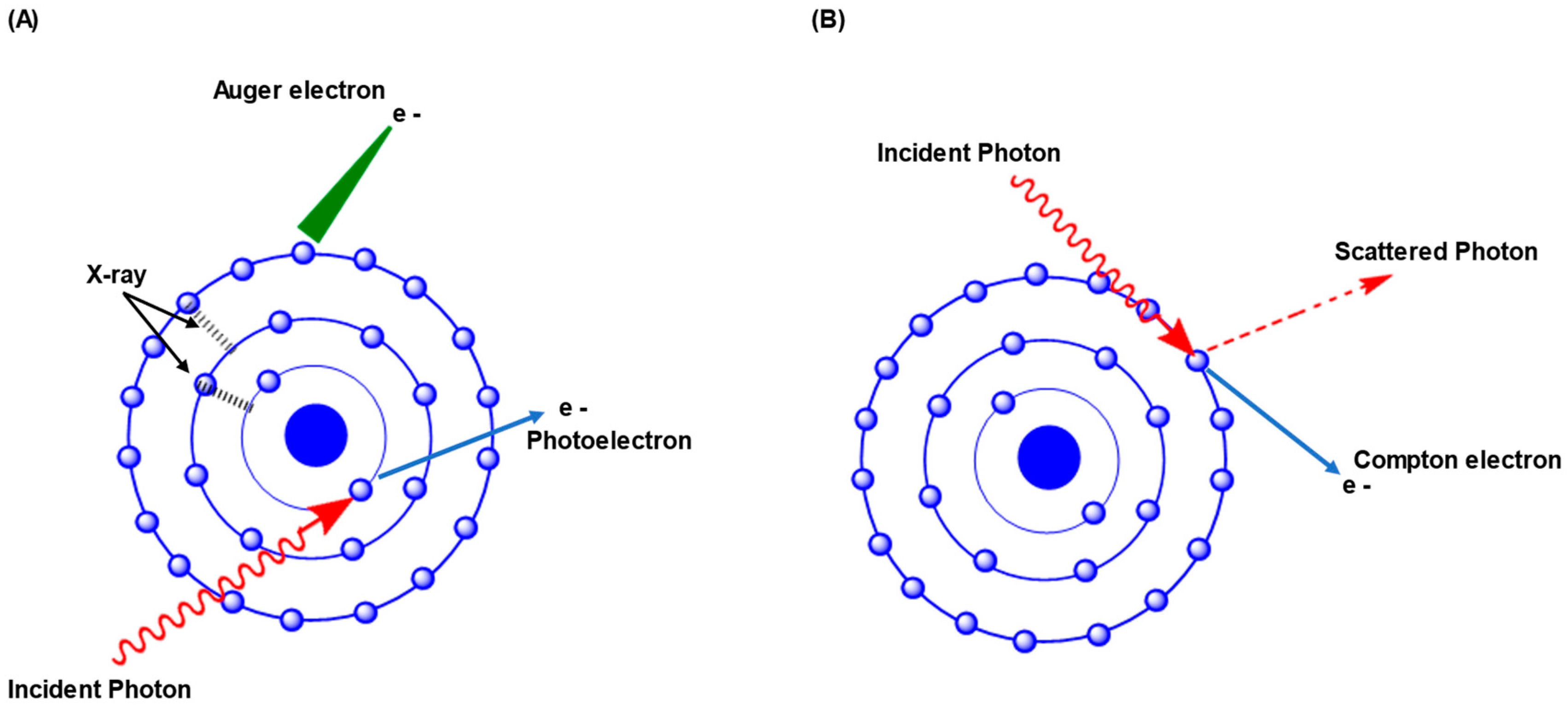 Cancers 15 01892 g001