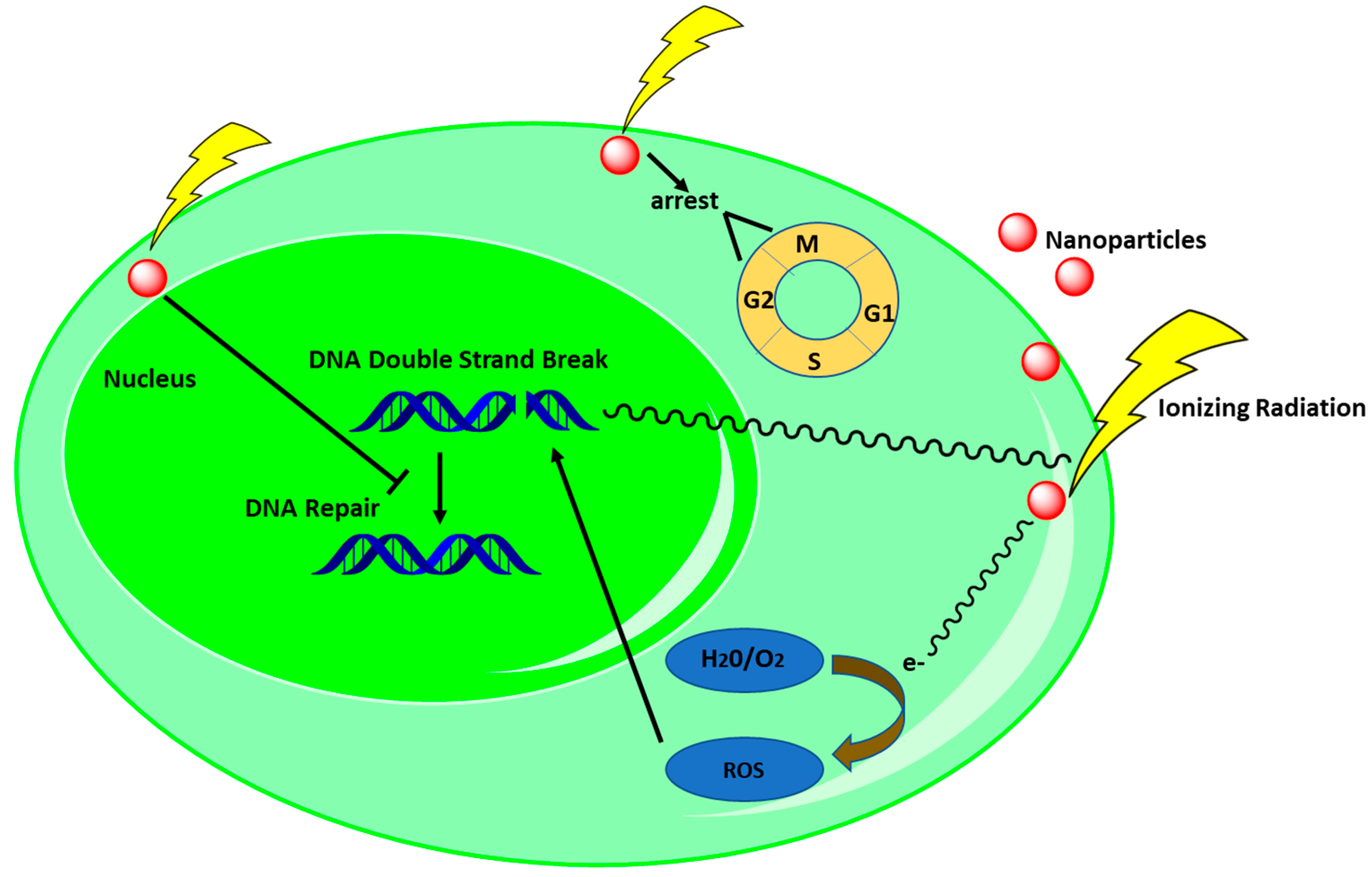 Cancers 15 01892 g002