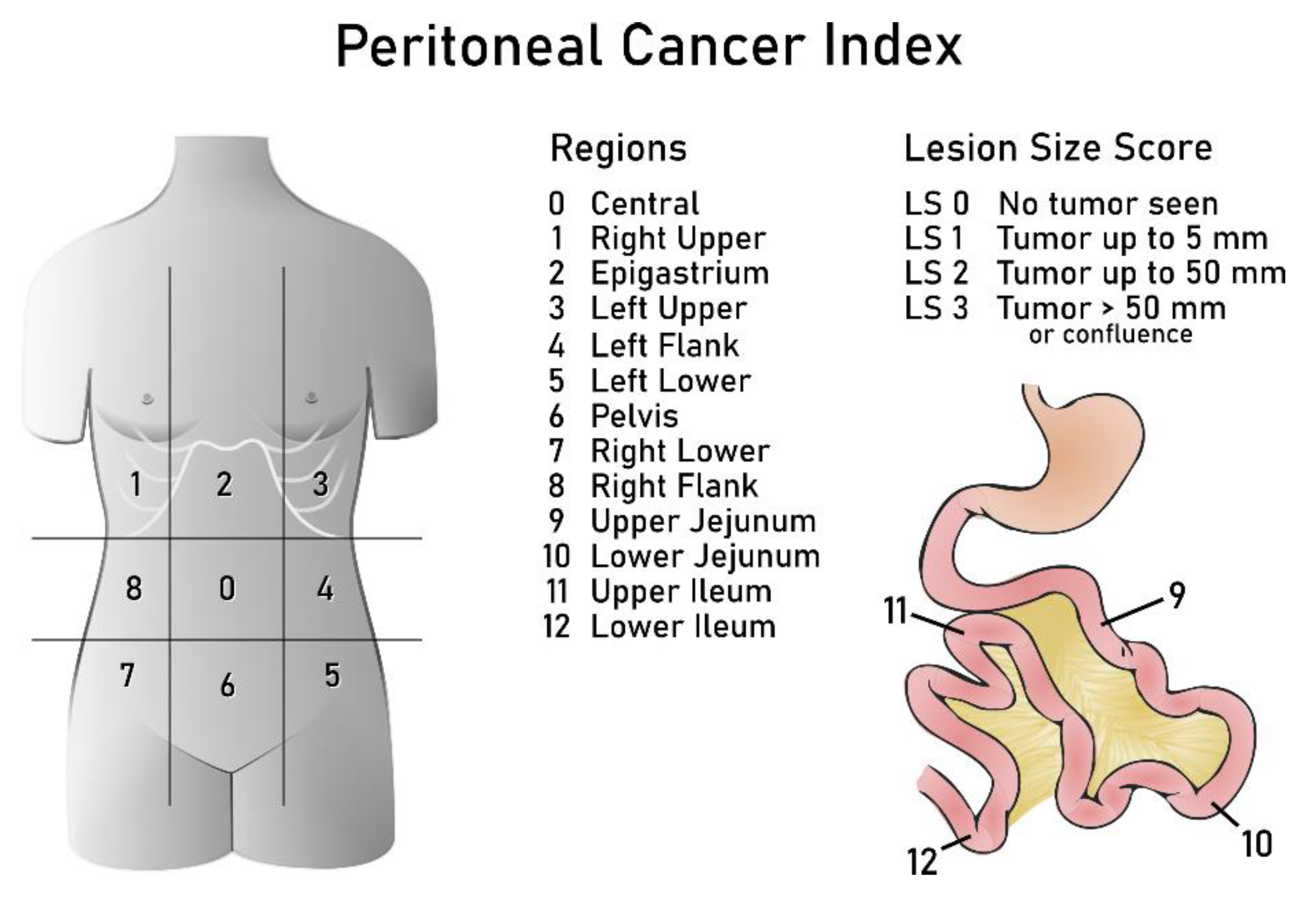 Cancers 15 01904 g003