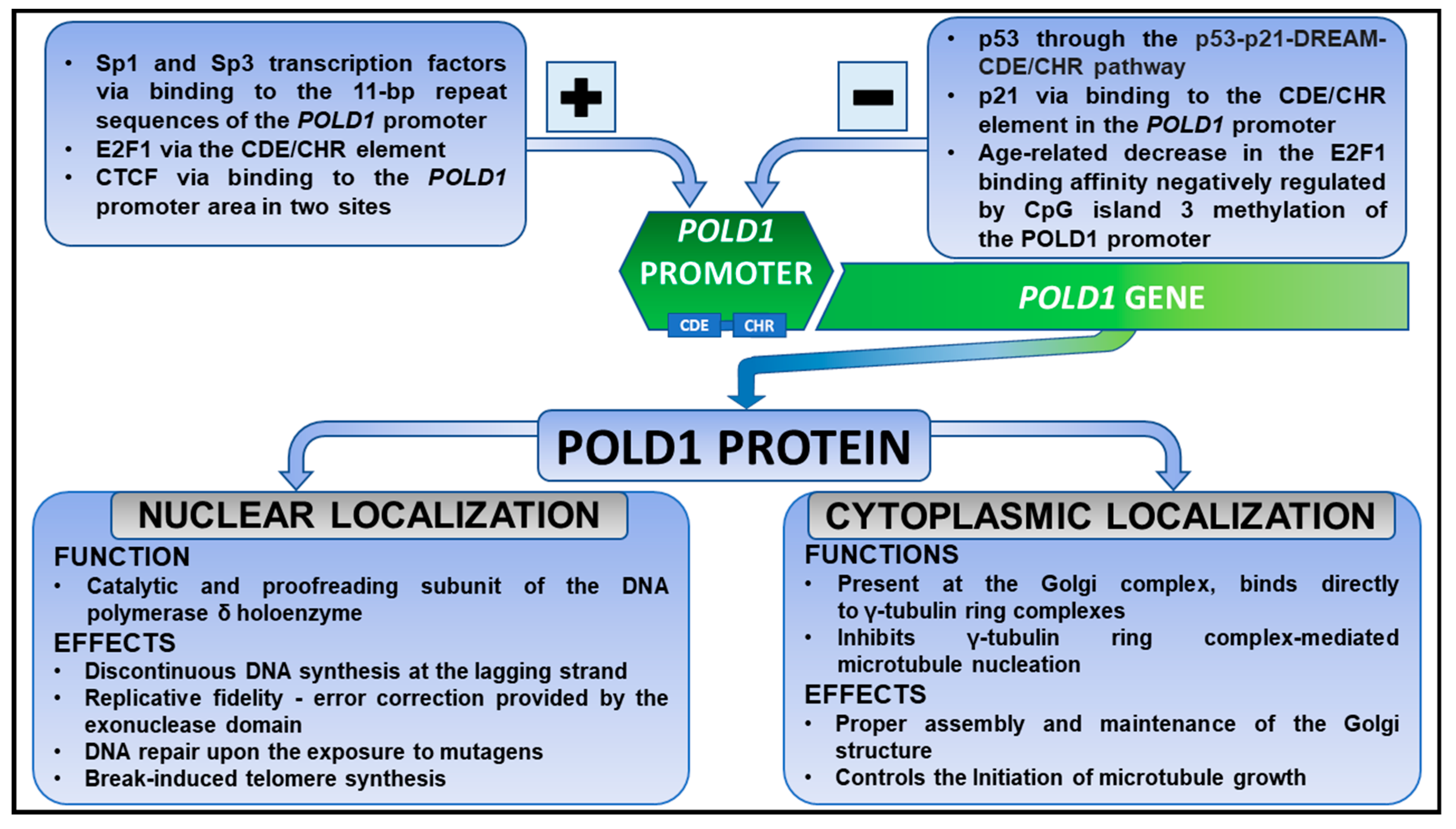 Cancers 15 01905 g001