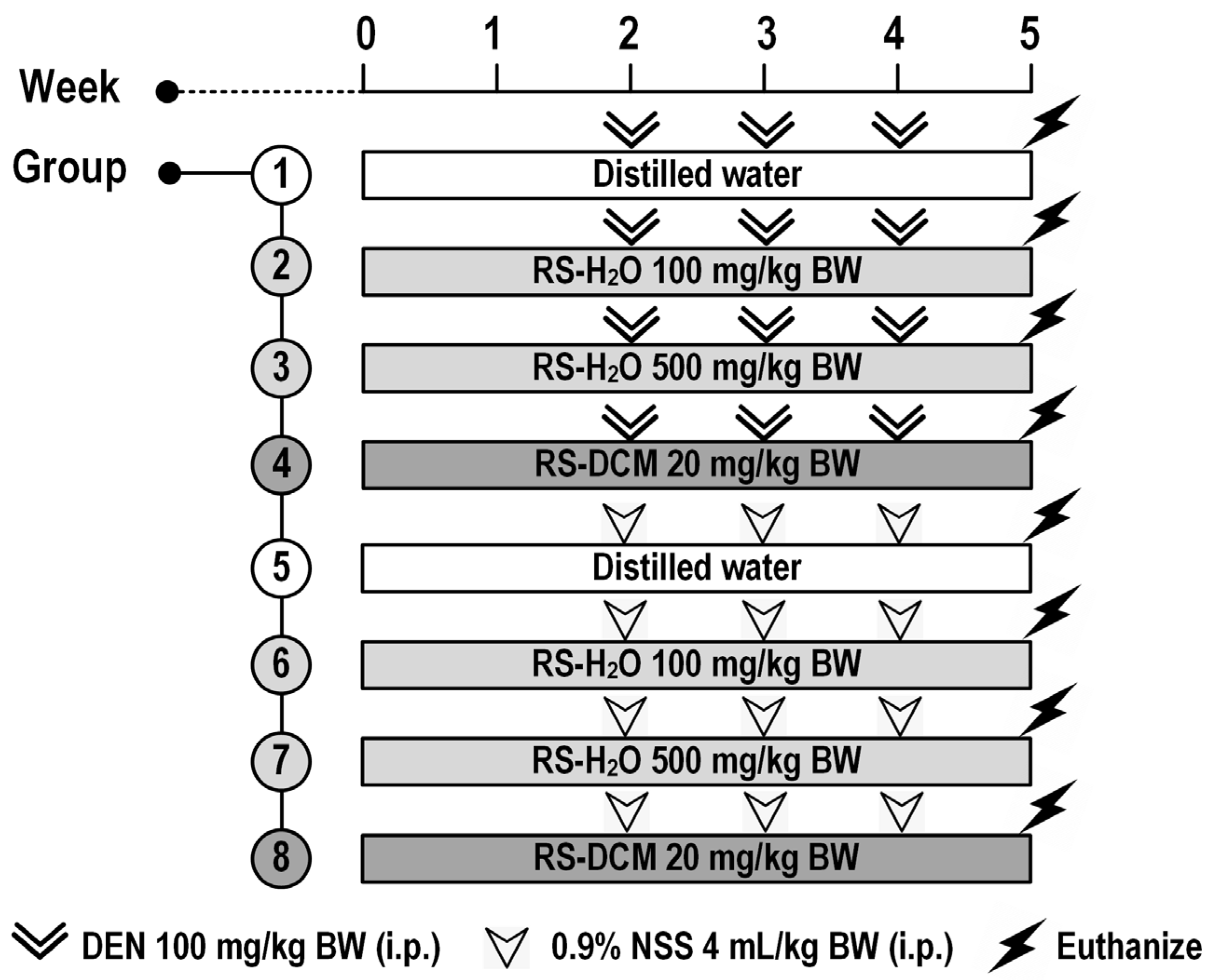 Cancers 15 01906 g001