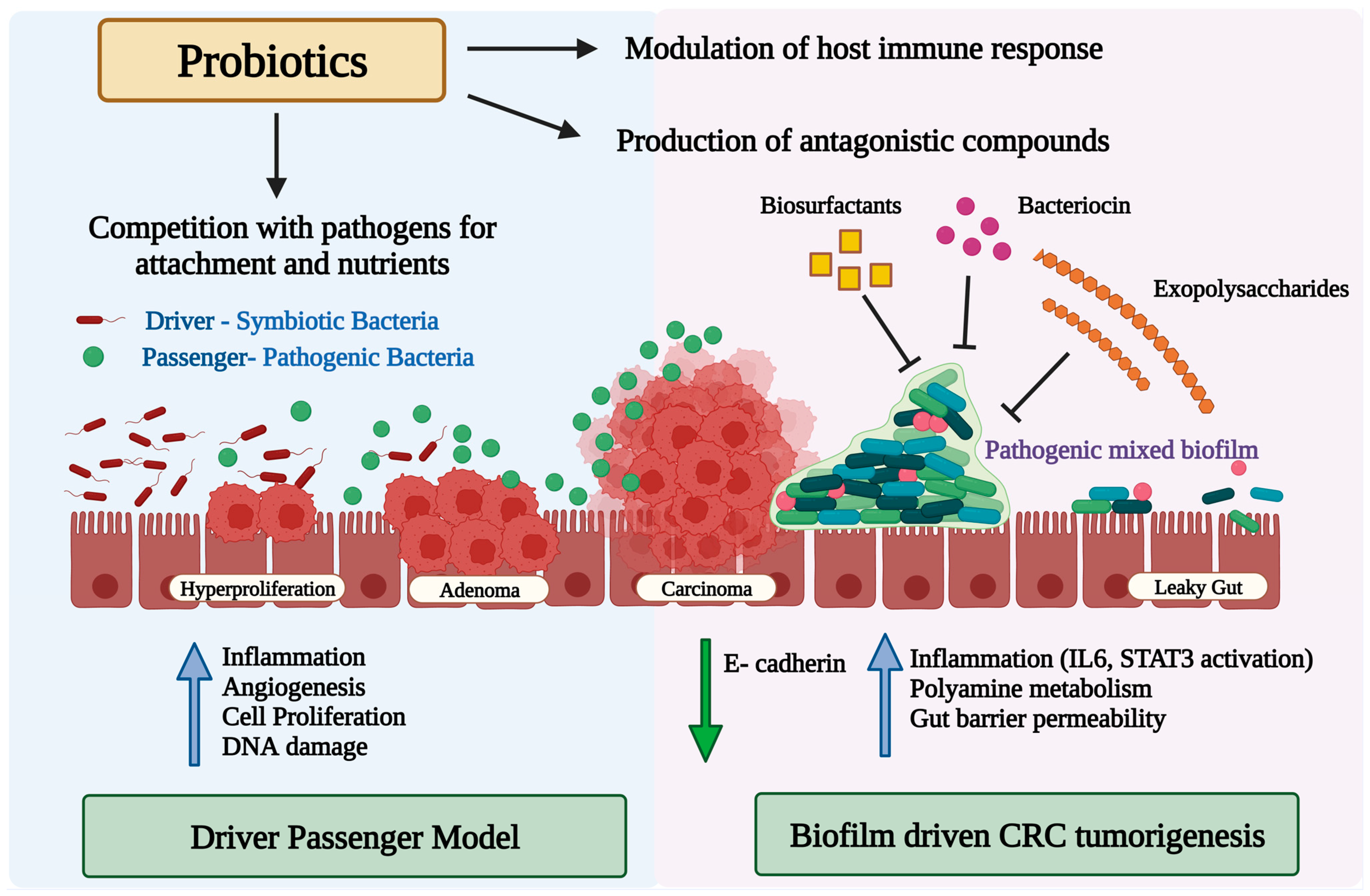 Cancers 15 01913 g001
