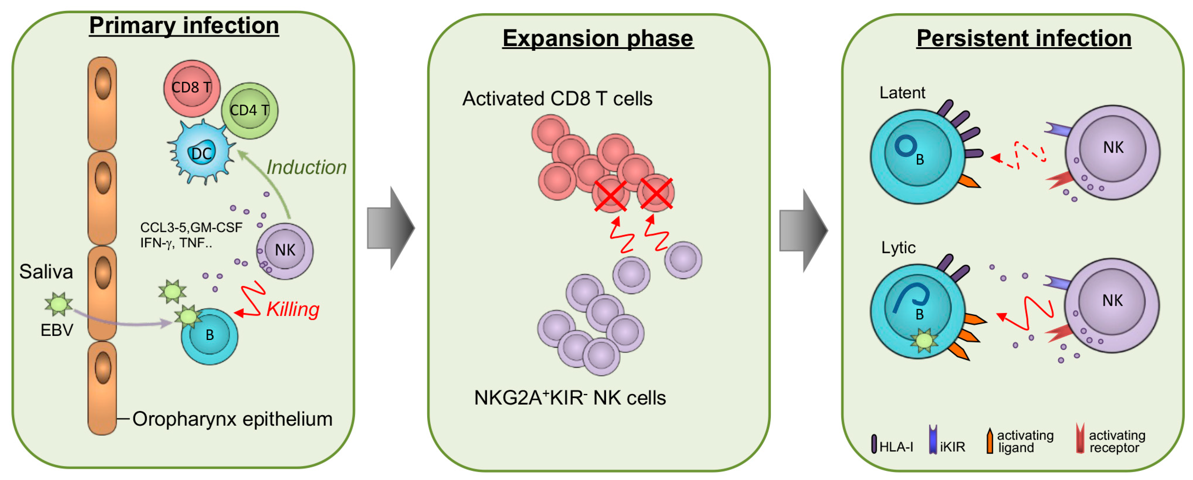 Cancers 15 01914 g001