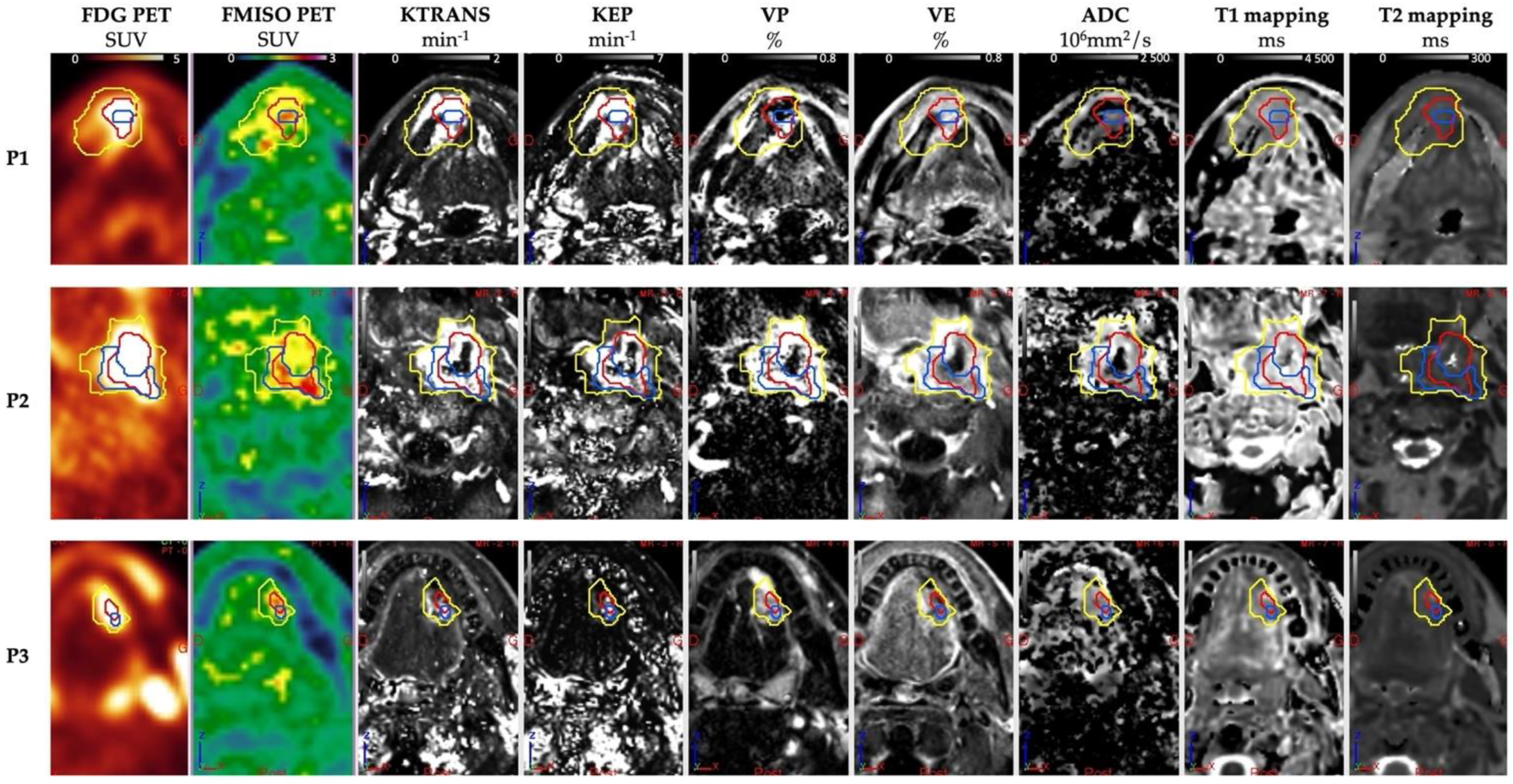 Cancers 15 01918 g002