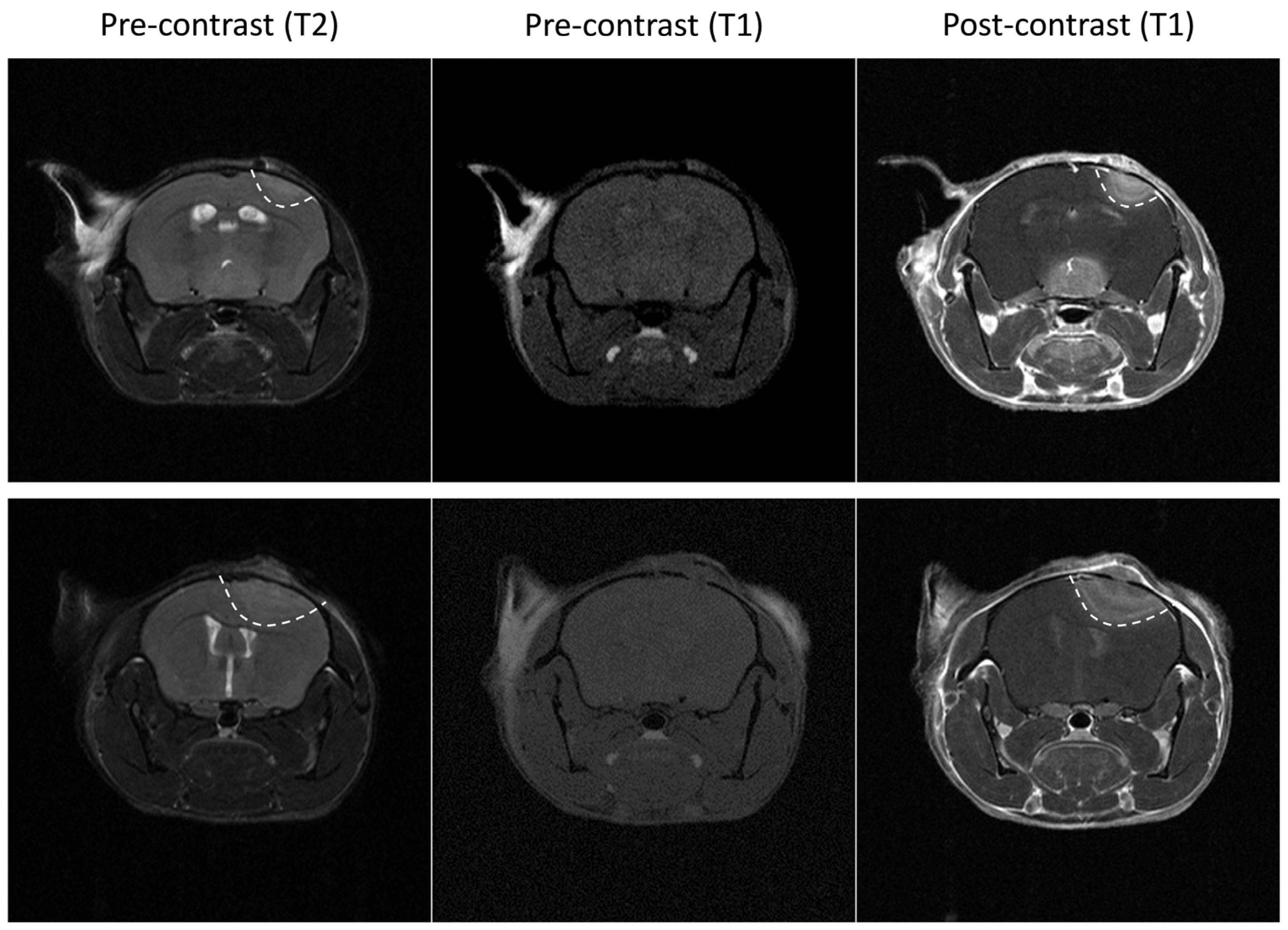 Cancers 15 01919 g001