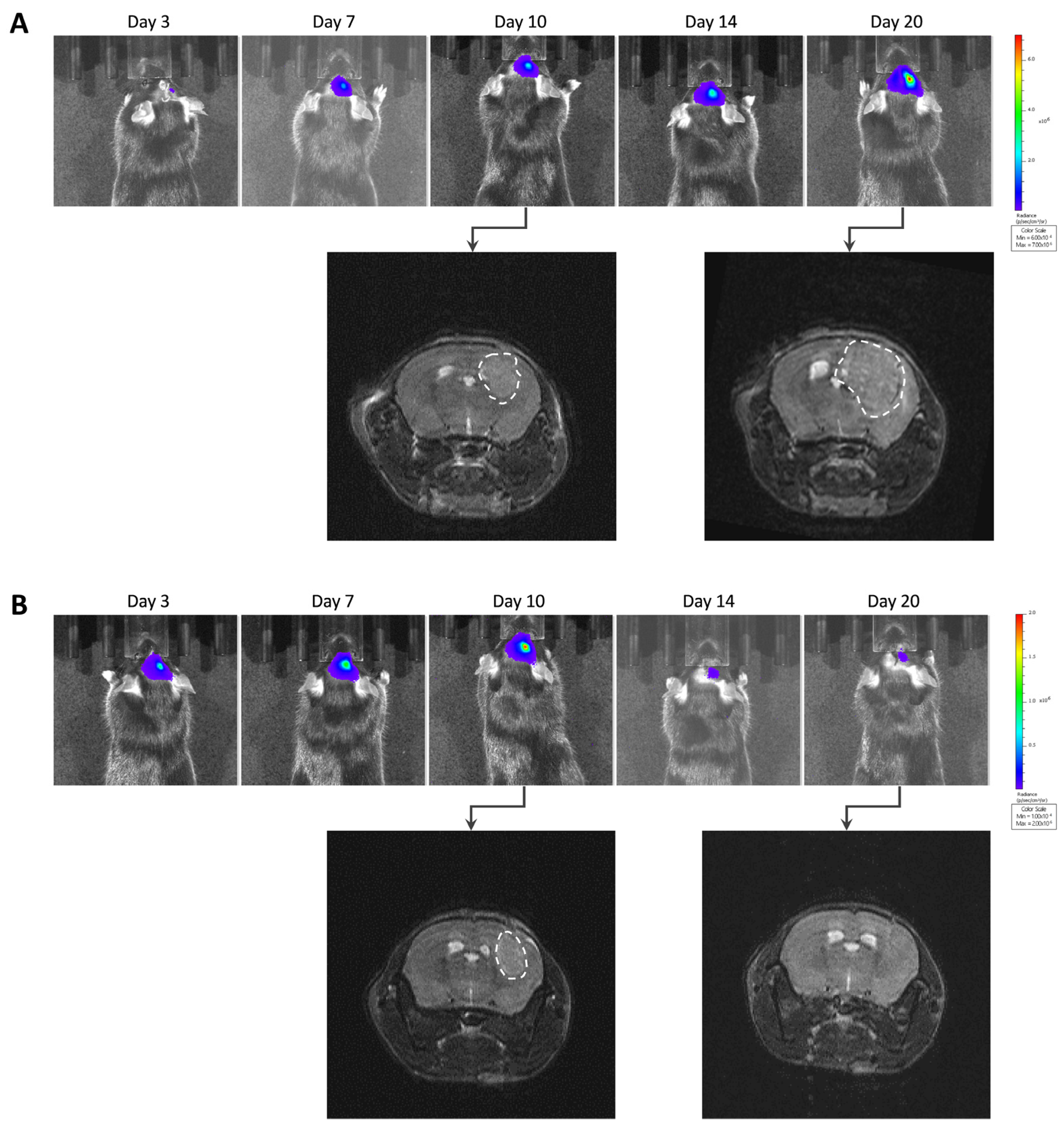 Cancers 15 01919 g004