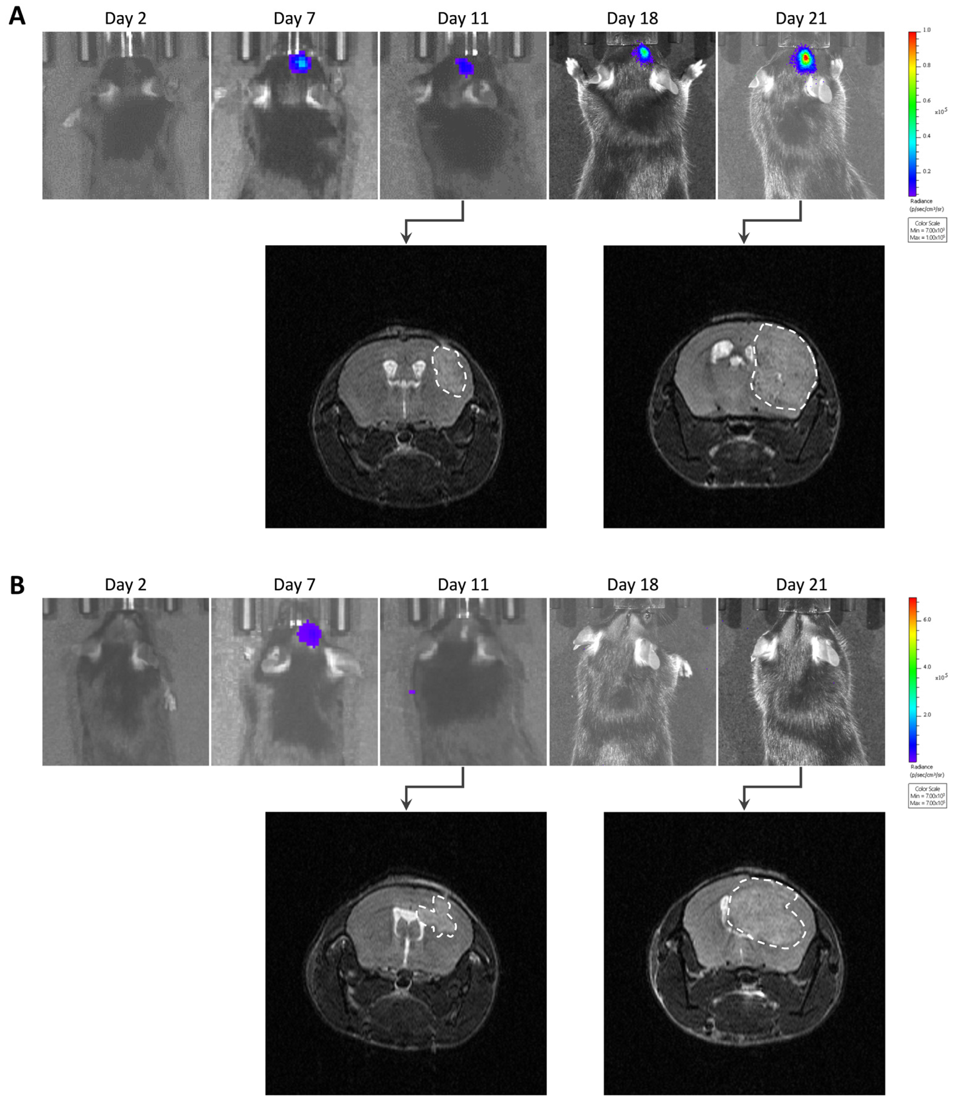 Cancers 15 01919 g006