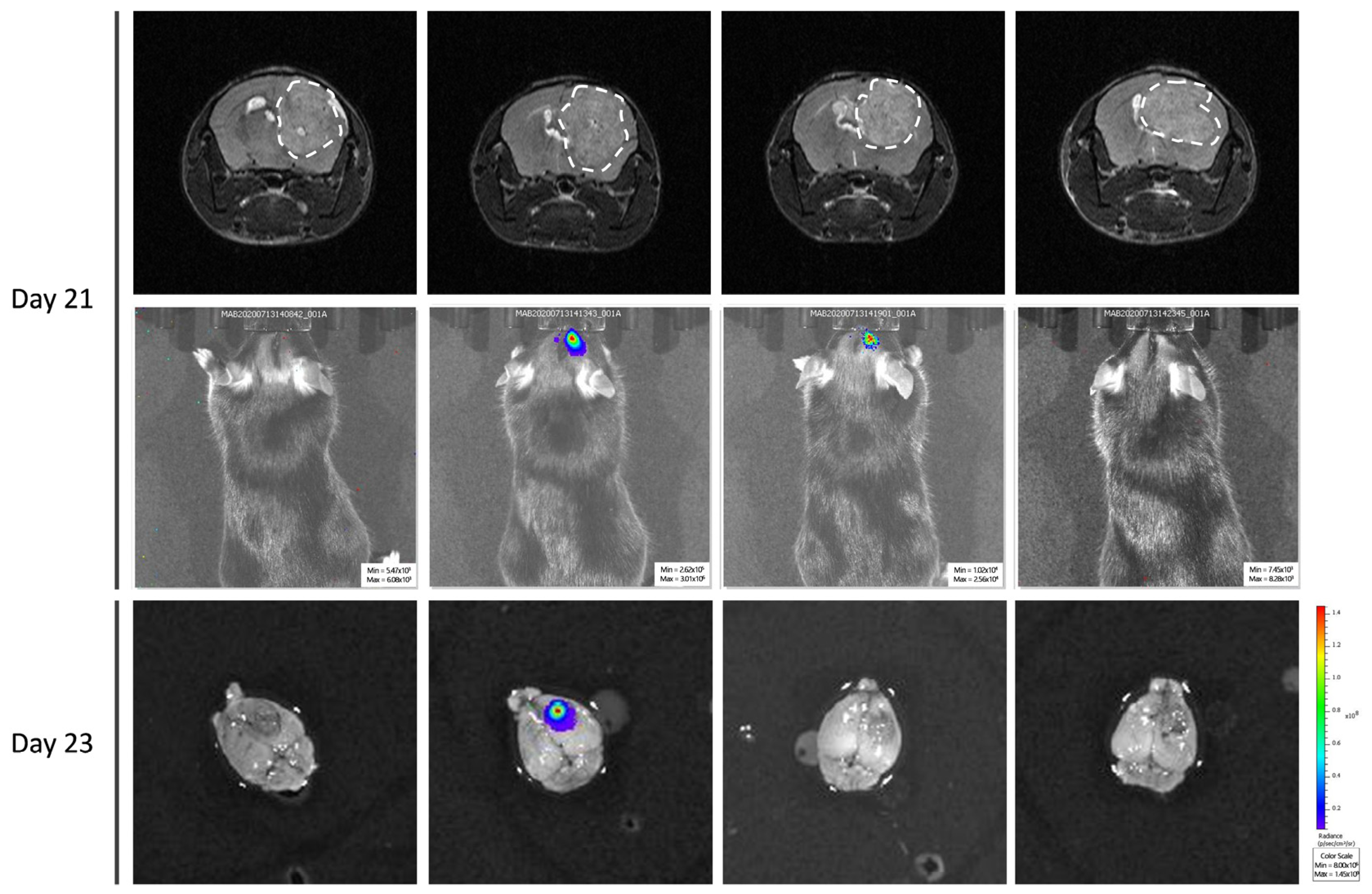 Cancers 15 01919 g007