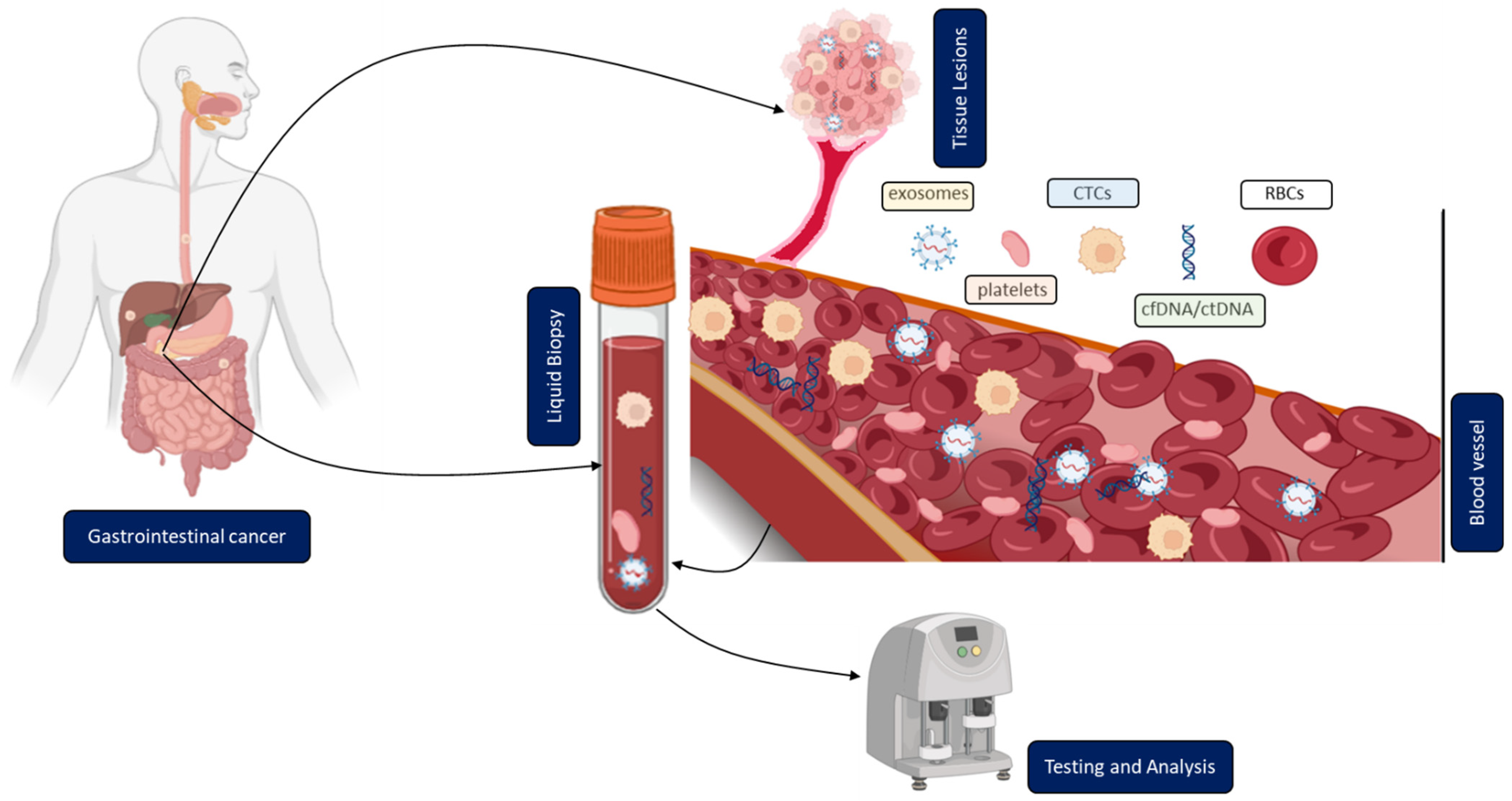 Cancers 15 01924 g001