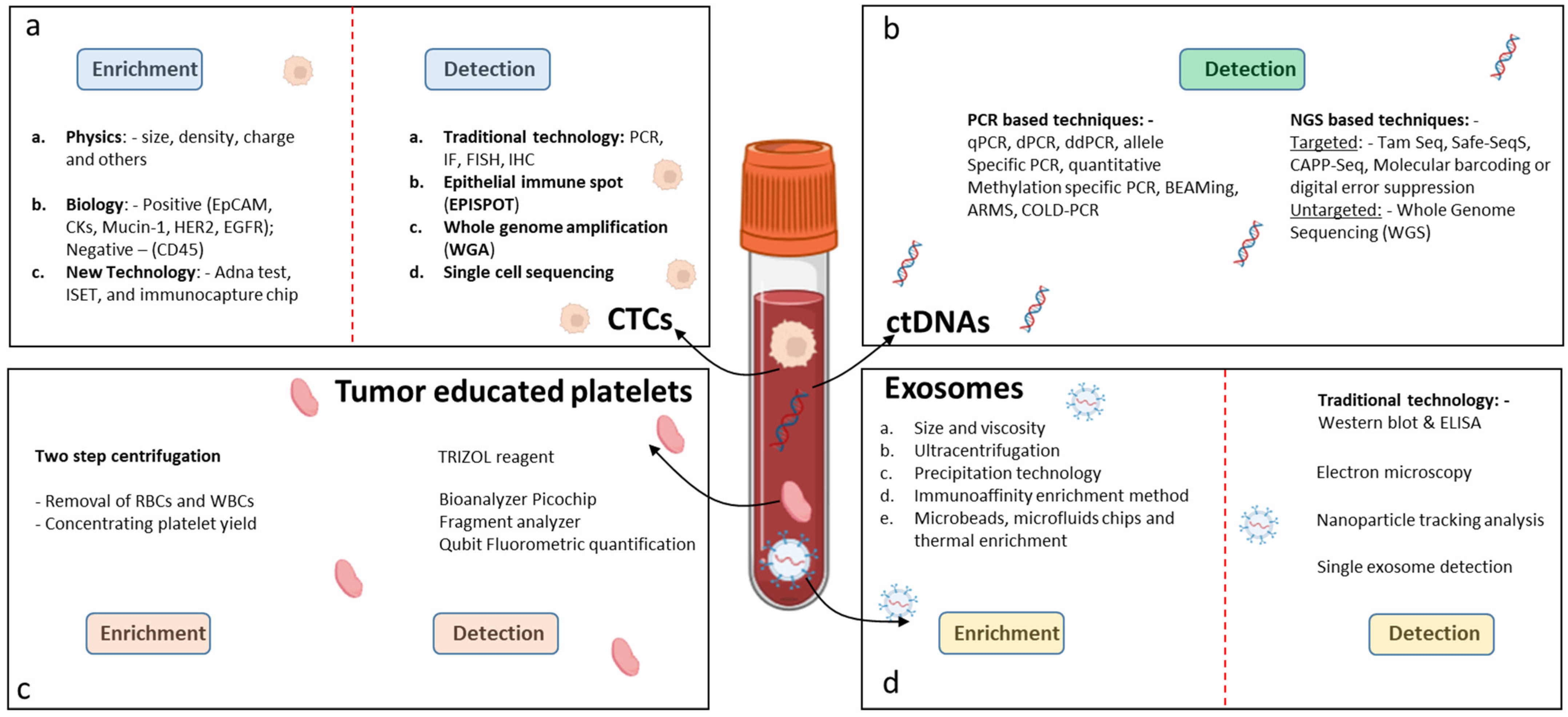 Cancers 15 01924 g002