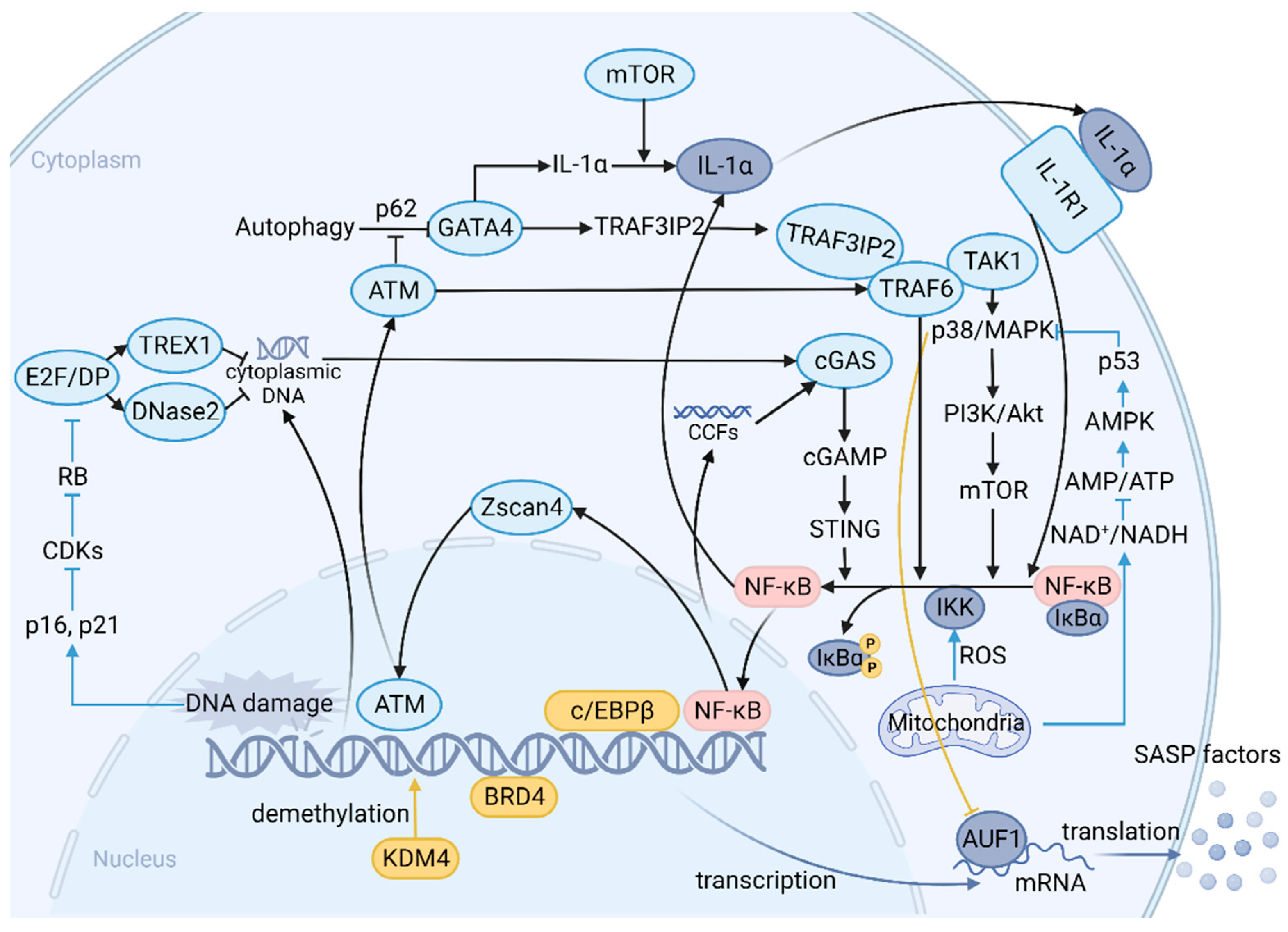Cancers 15 01927 g002
