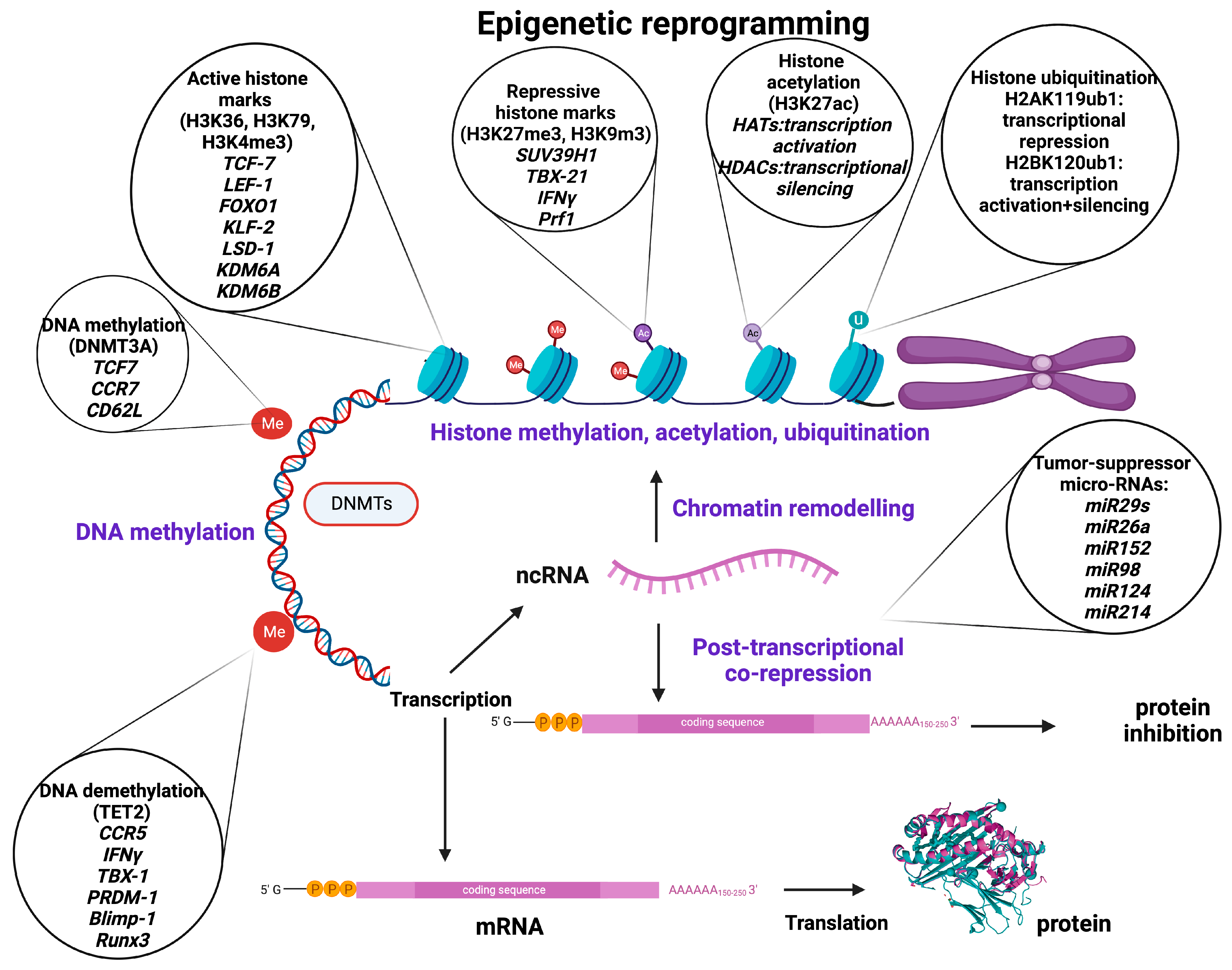 Cancers 15 01935 g001