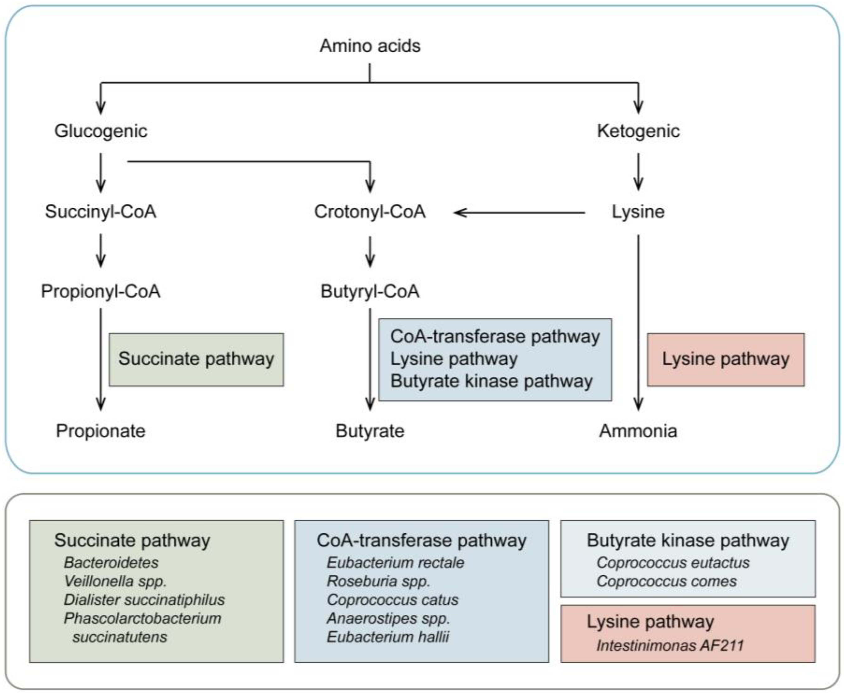 Cancers 15 01942 g001