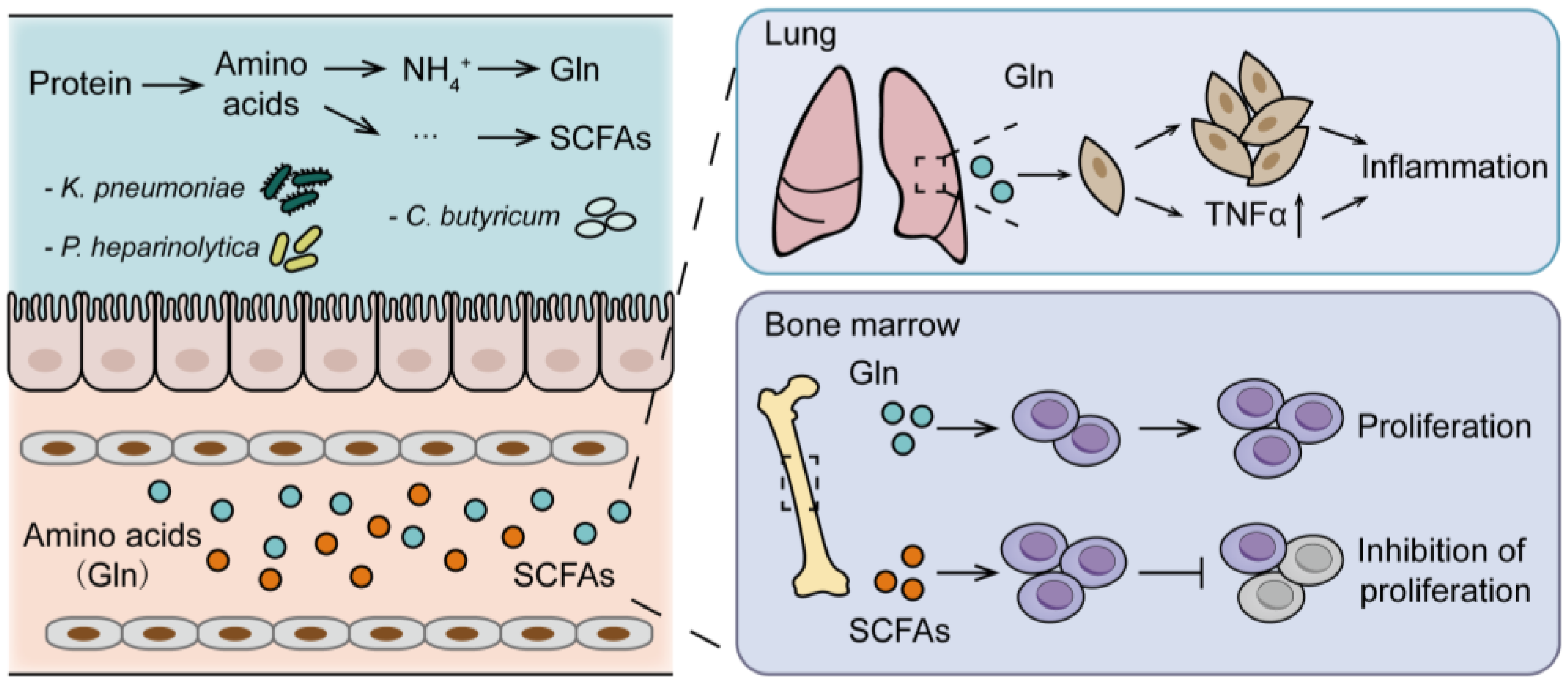 Cancers 15 01942 g003