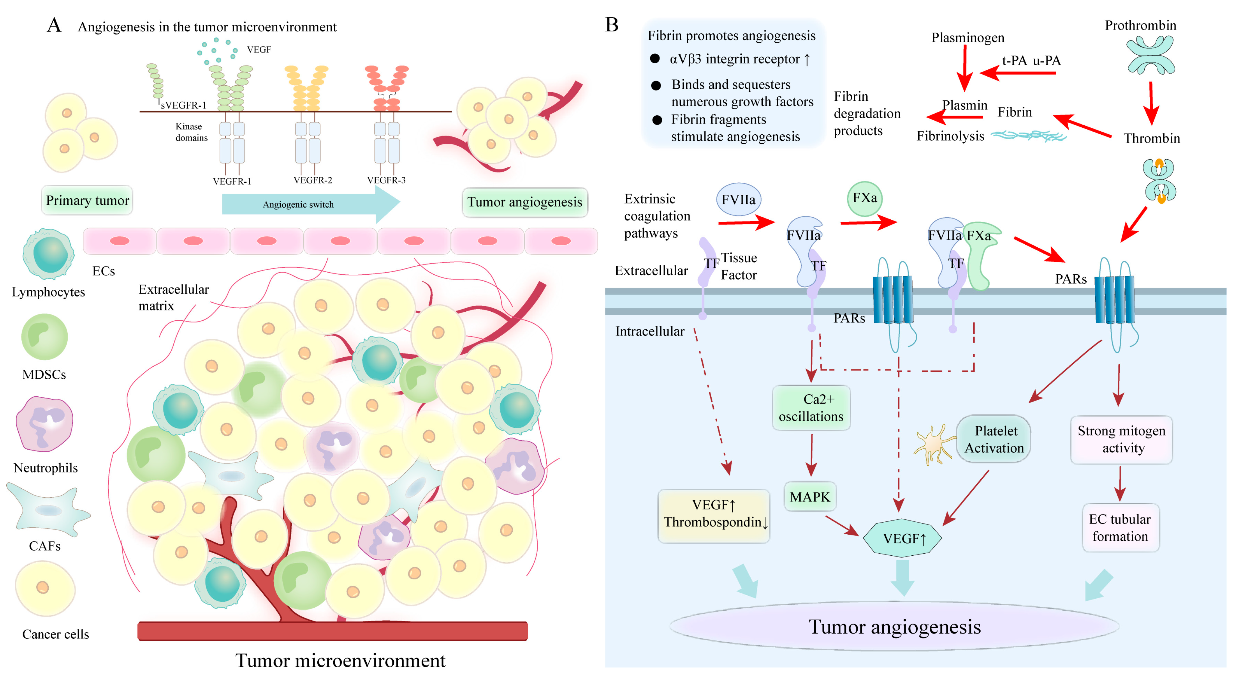 Cancers 15 01957 g003