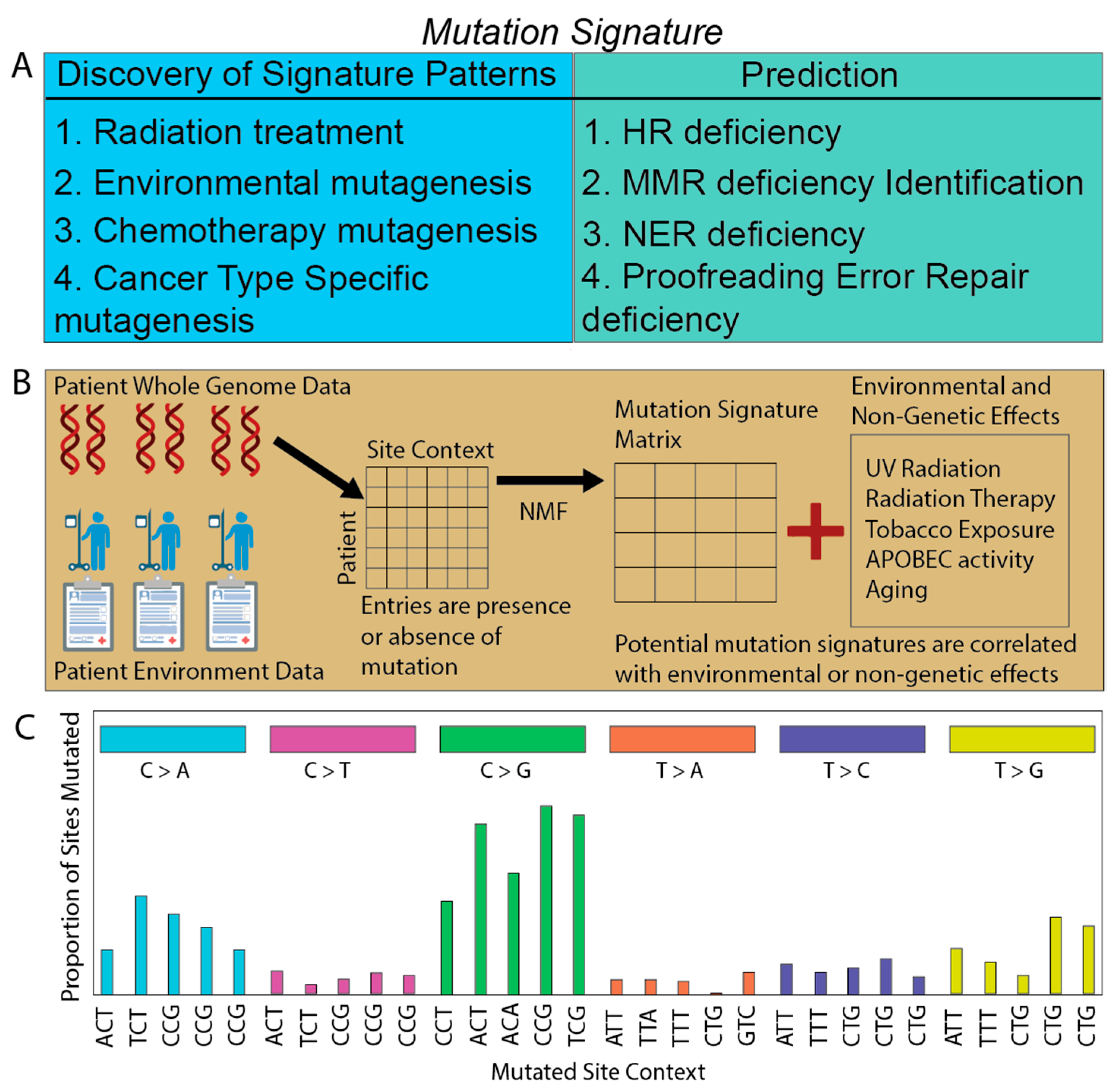 Cancers 15 01958 g001