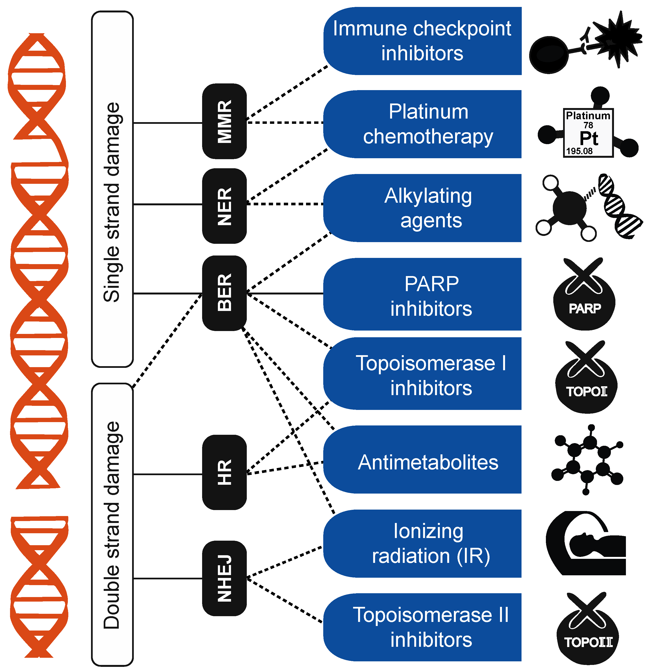 Cancers 15 01958 g002