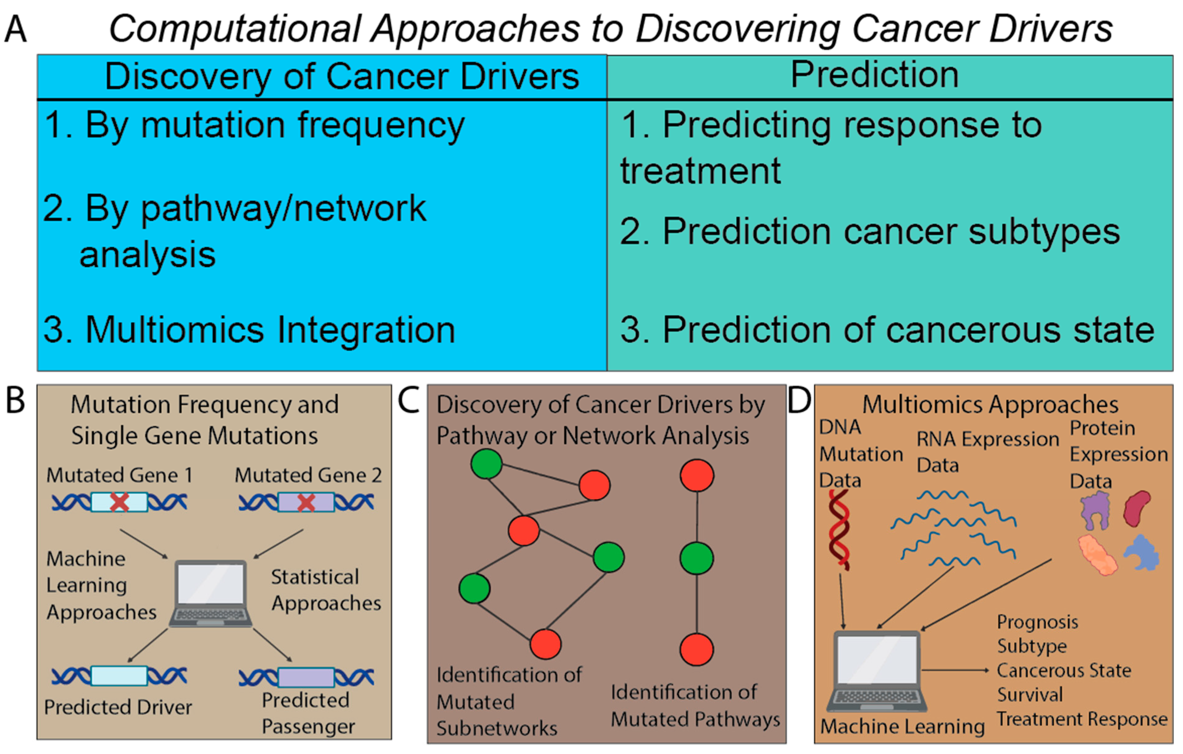 Cancers 15 01958 g003