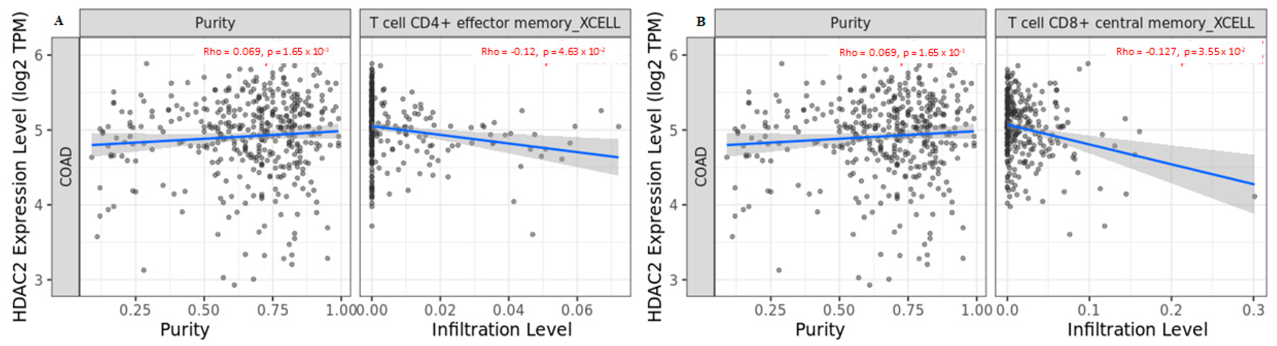 Cancers 15 01960 g006