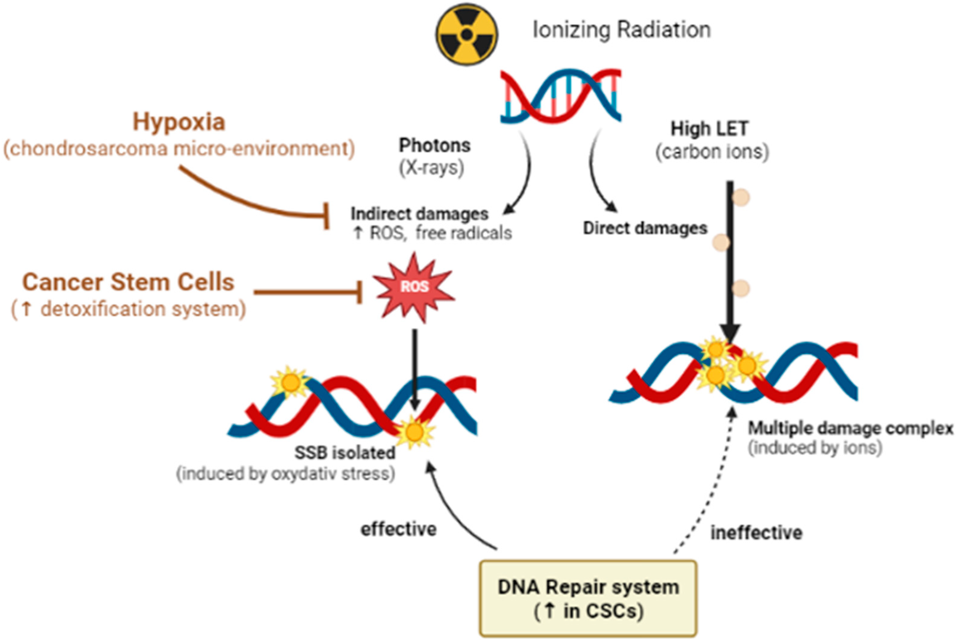 Cancers 15 01962 g002