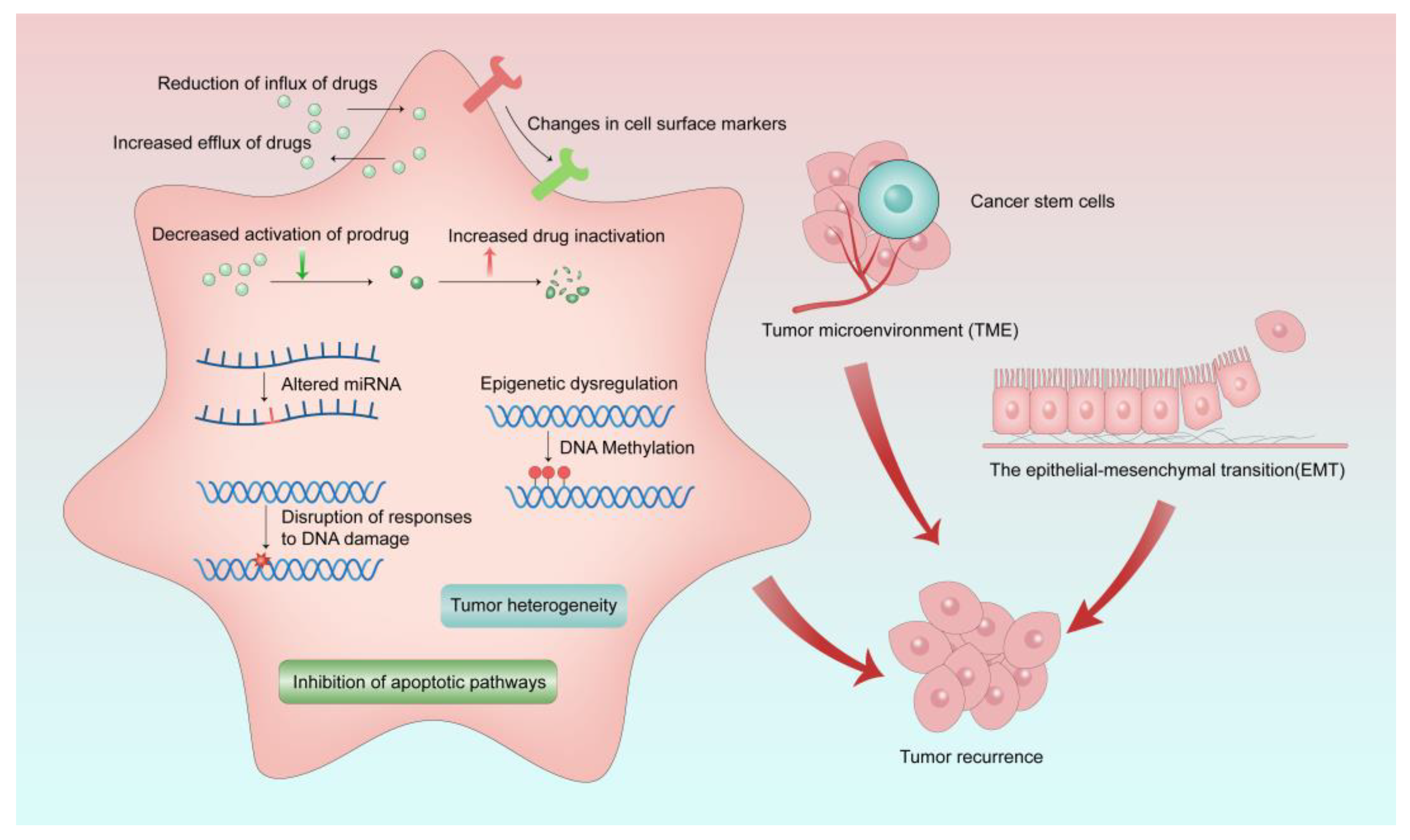 Cancers 15 01963 g002 Cancers 15 01963 g002
