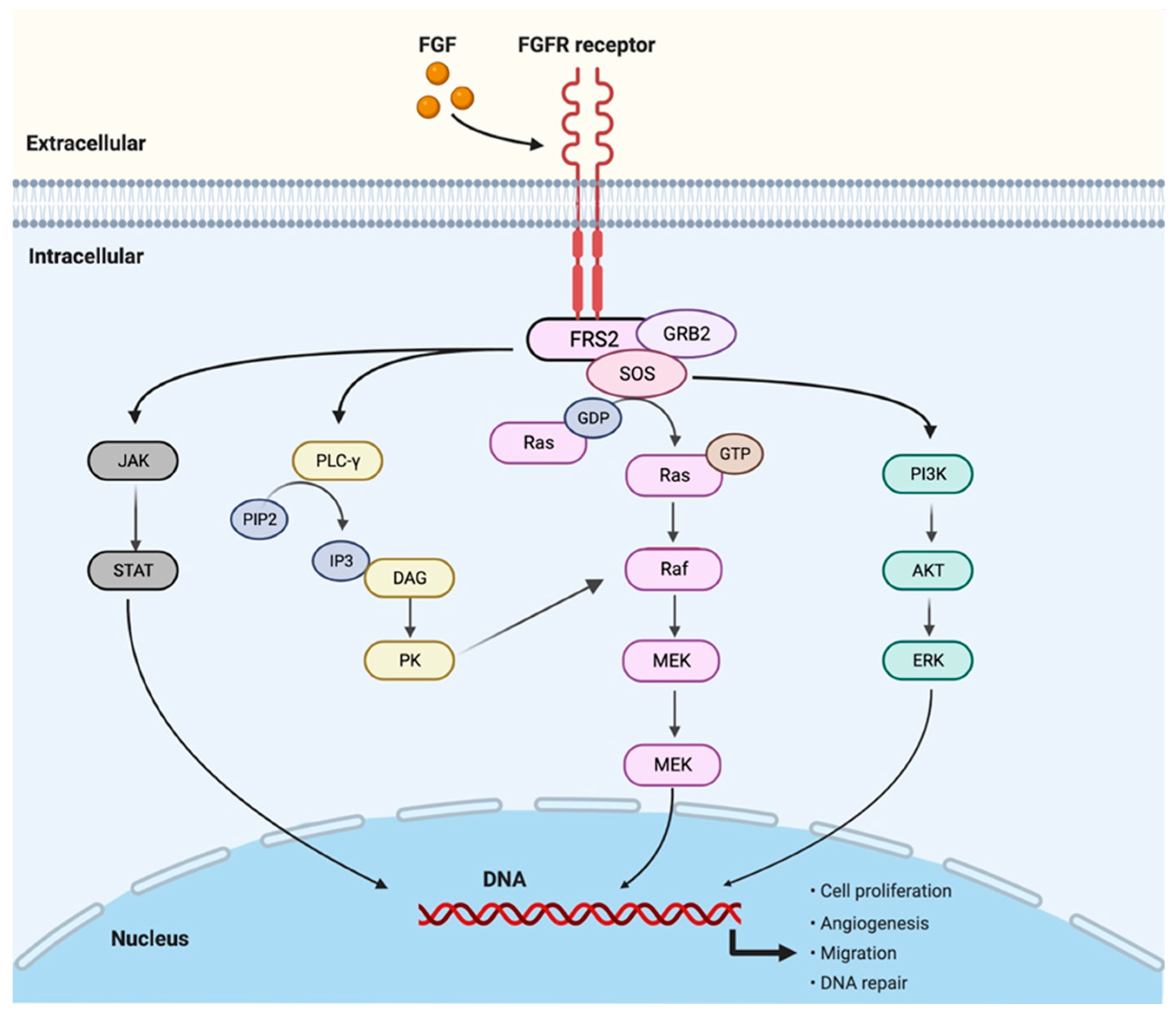 Cancers 15 01970 g001