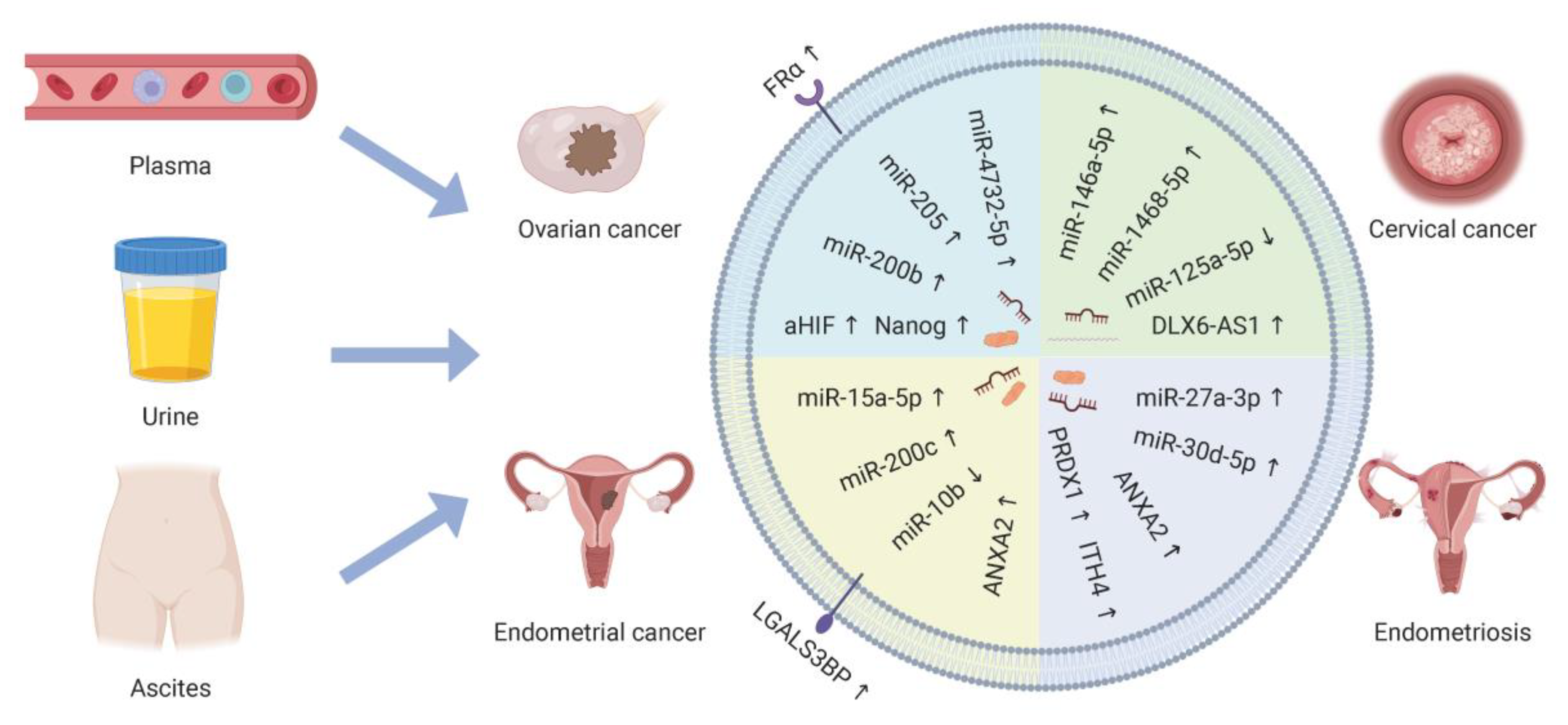 Cancers 15 01984 g001