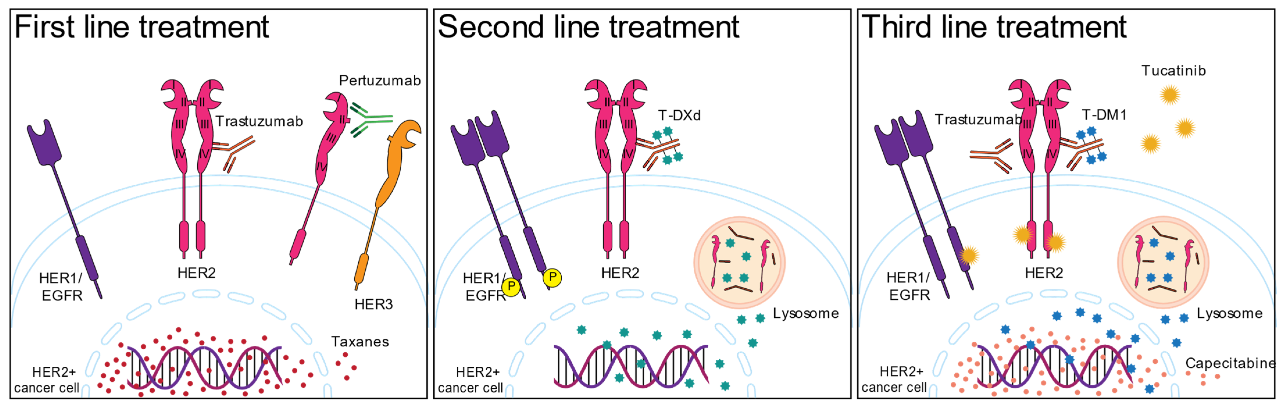 Cancers 15 01987 g001