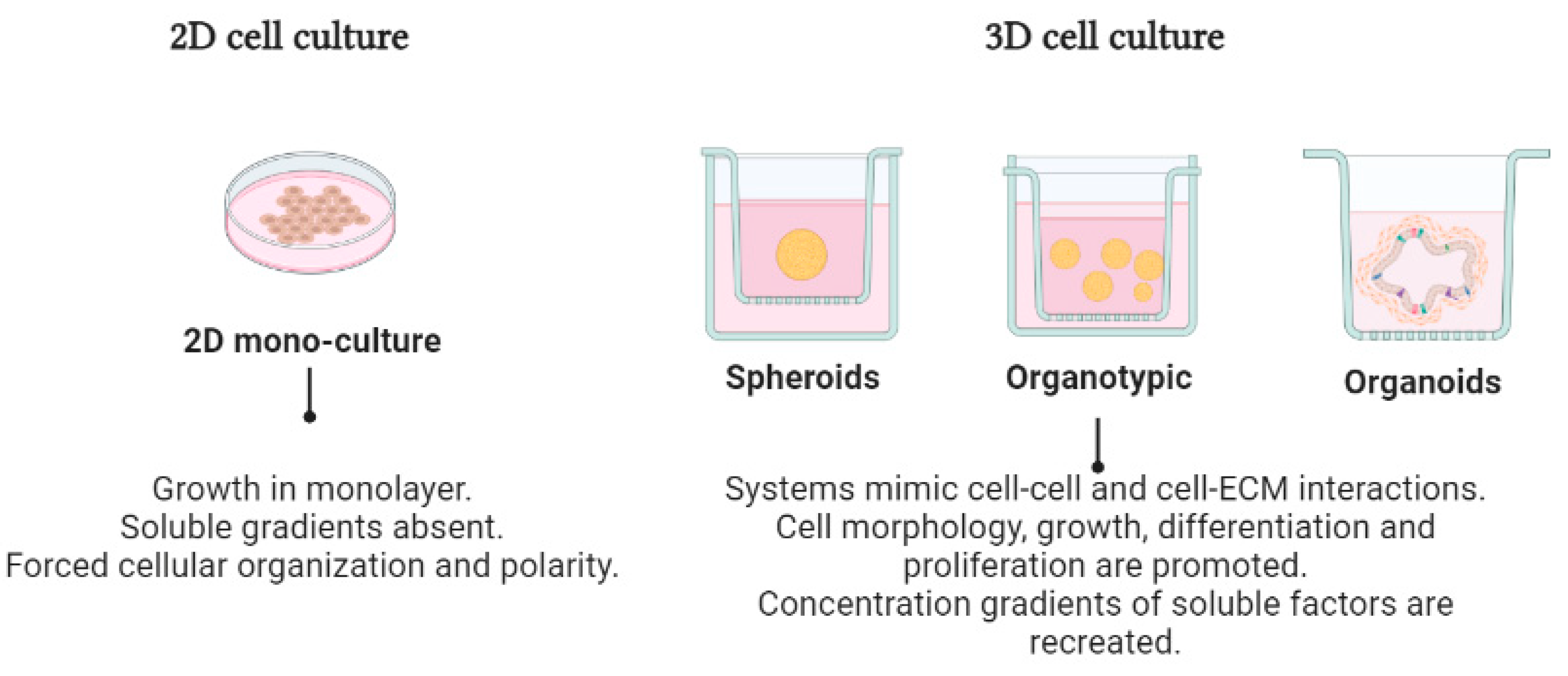 Cancers 15 01991 g001