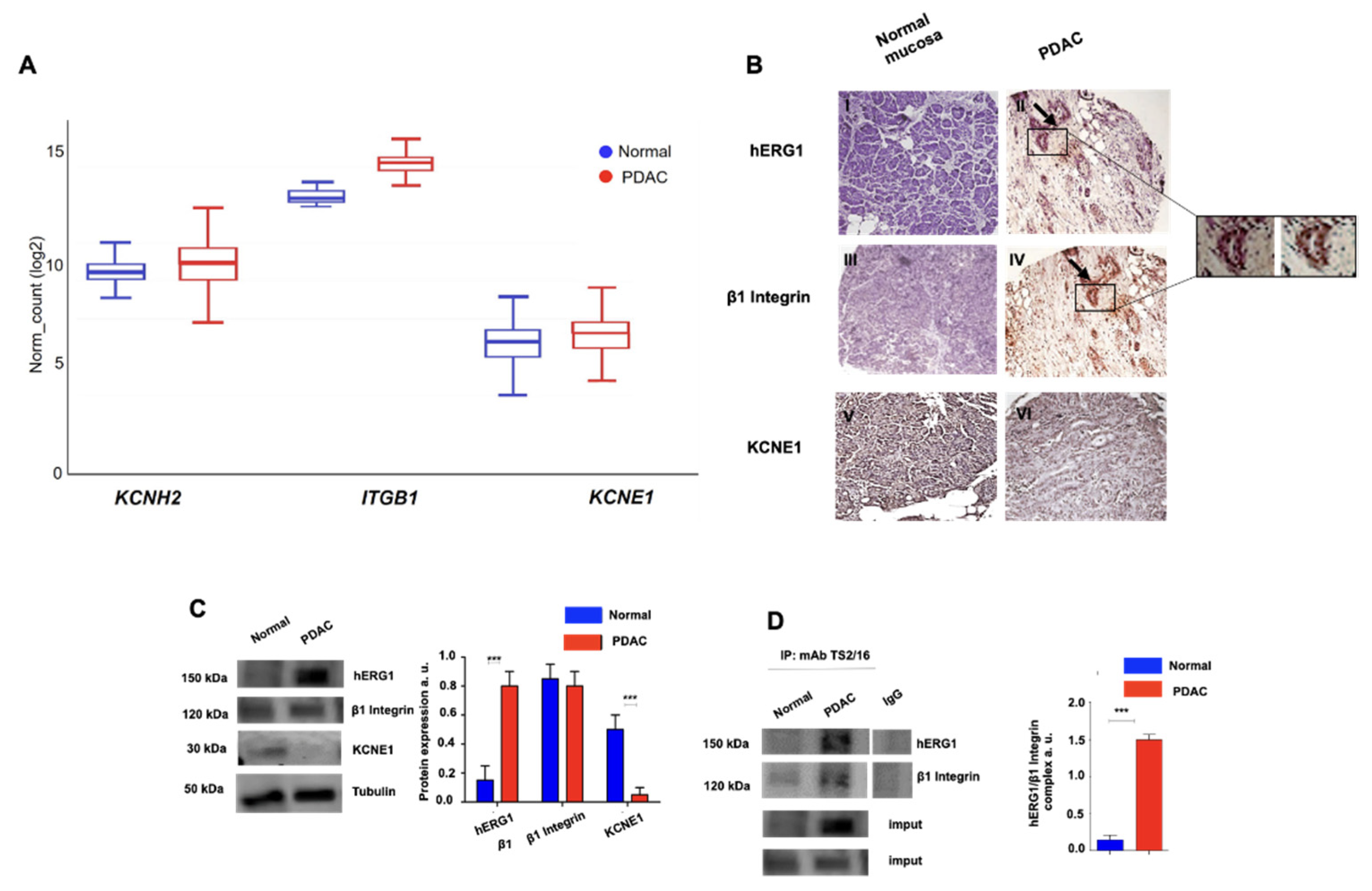 Cancers 15 02013 g001