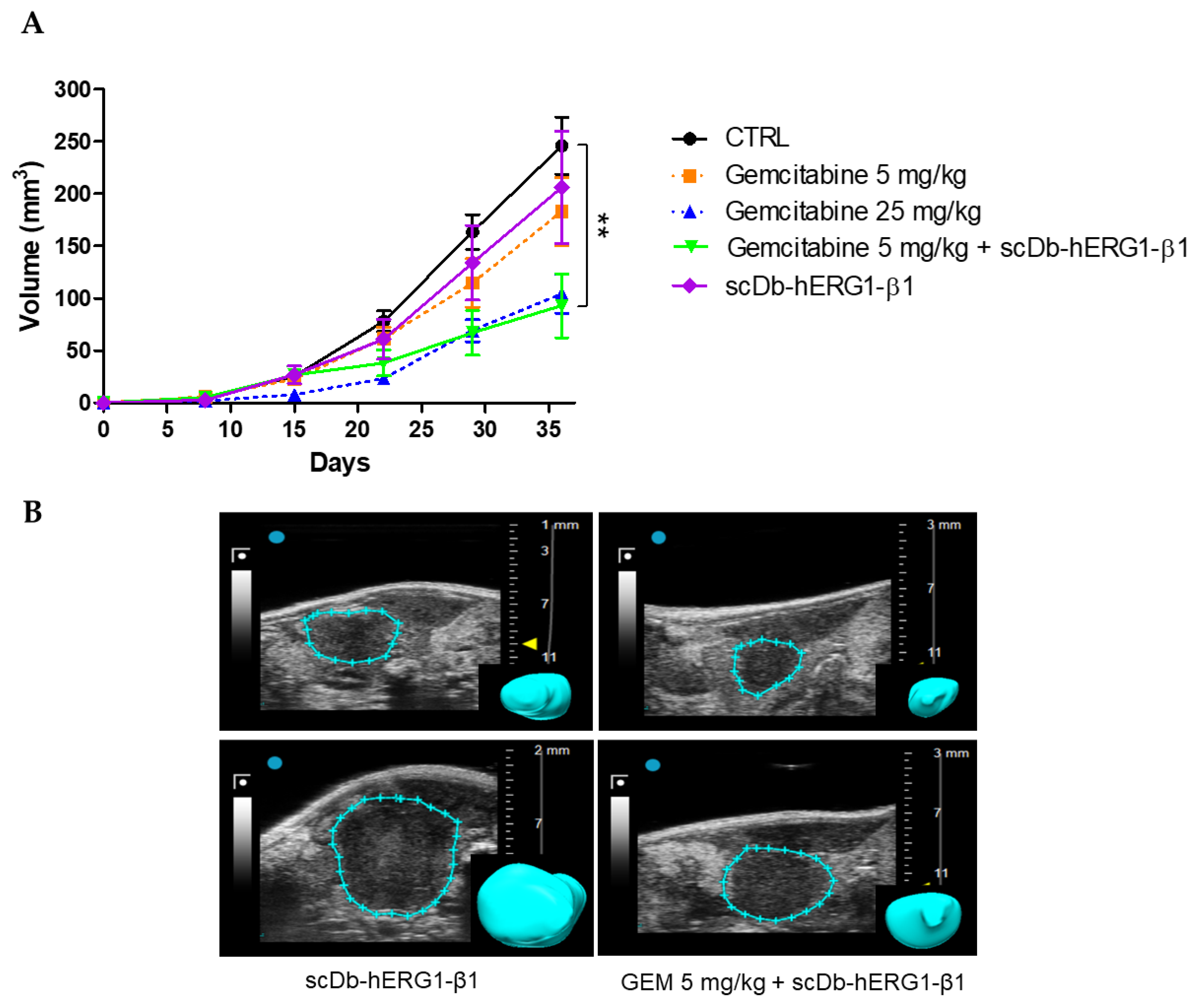 Cancers 15 02013 g007