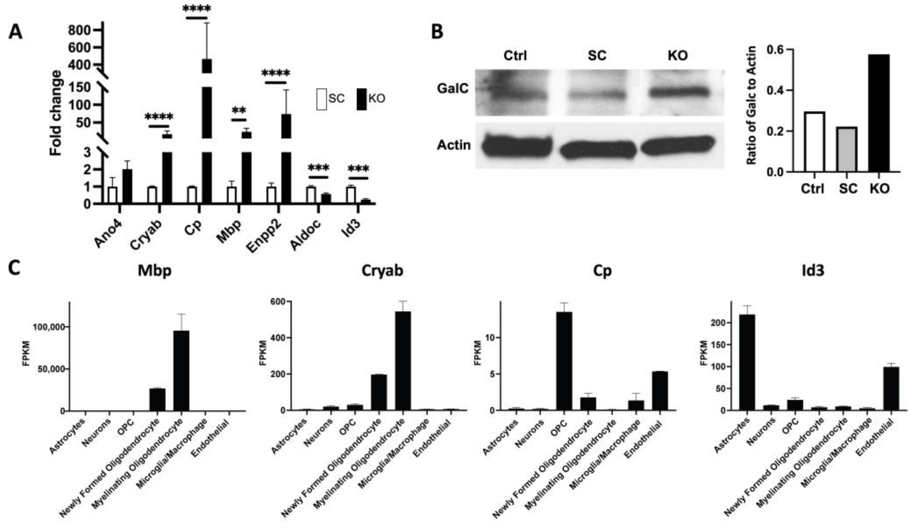 Cancers 15 02033 g004