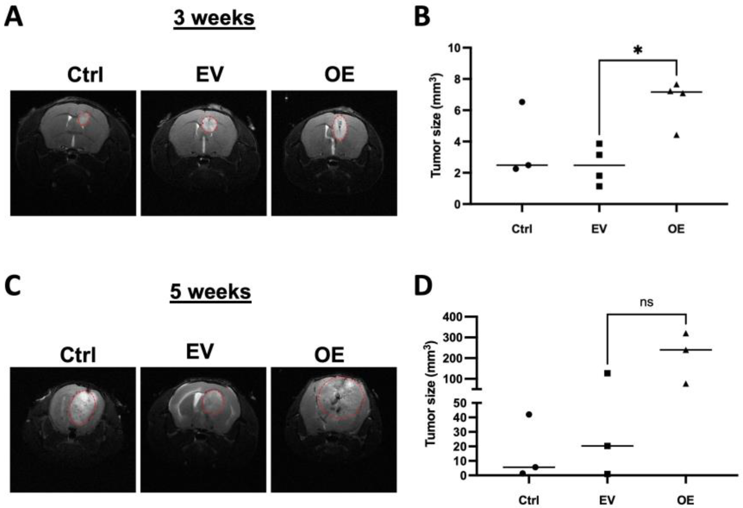 Cancers 15 02033 g006