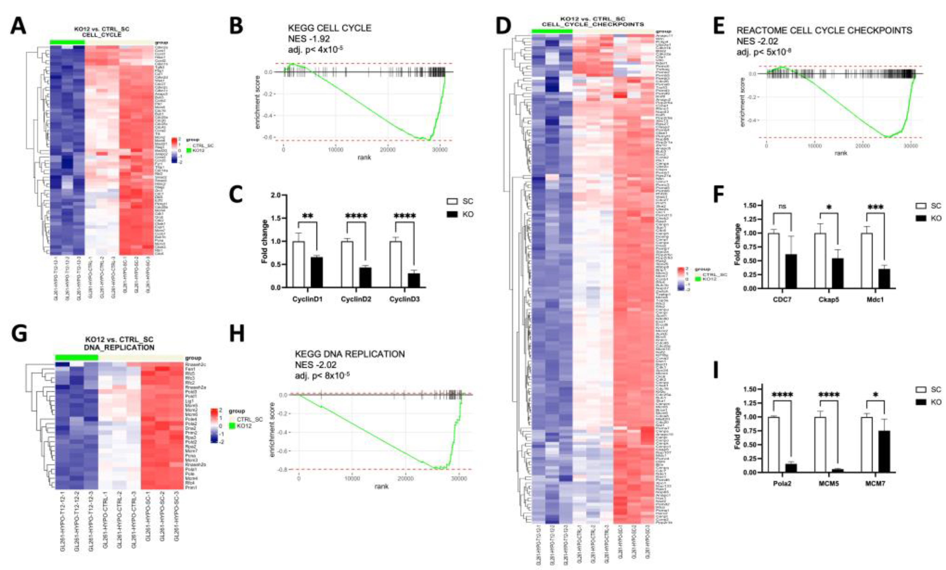 Cancers 15 02033 g007