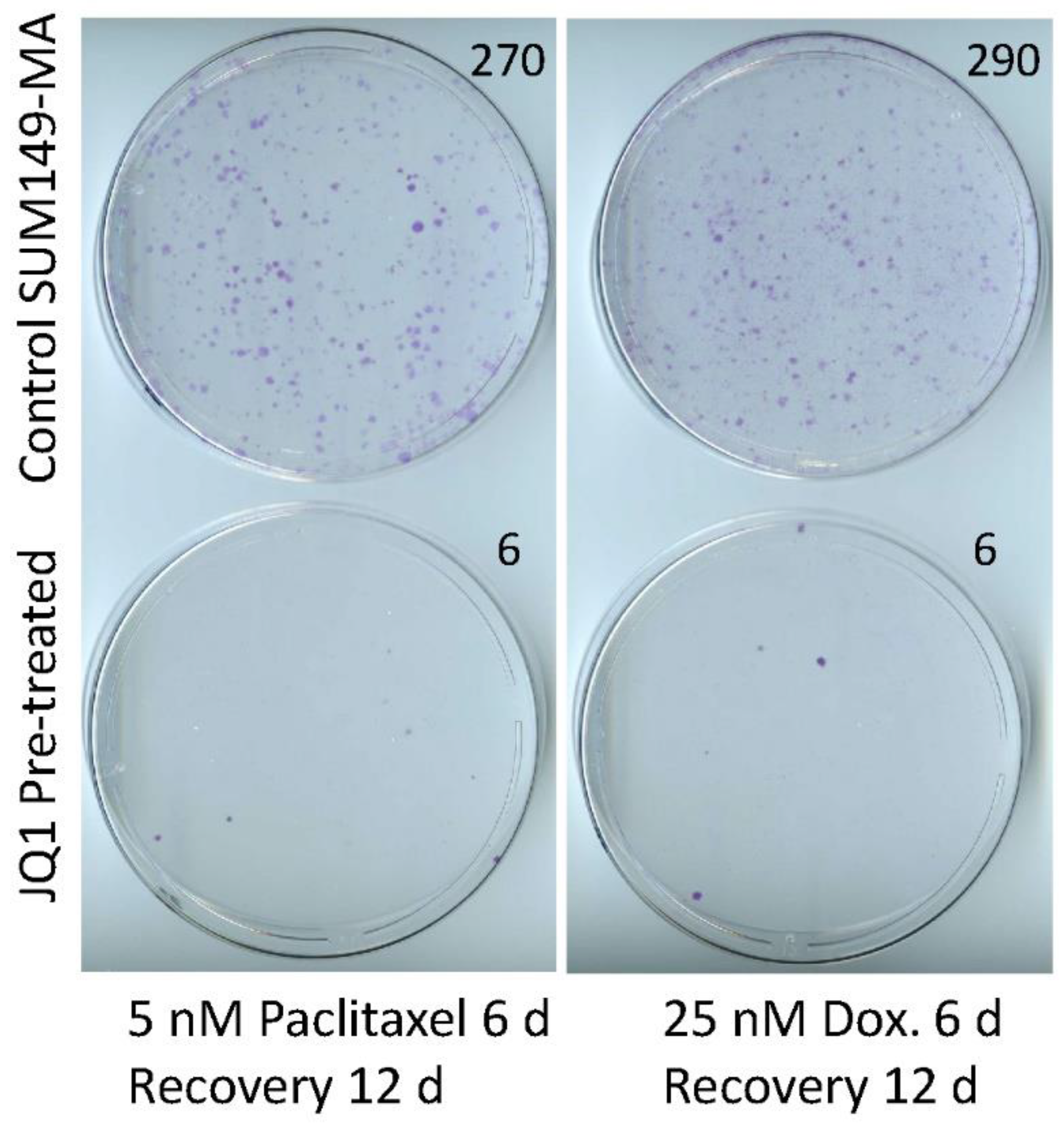 Cancers 15 02036 g002 Cancers 15 02036 g002