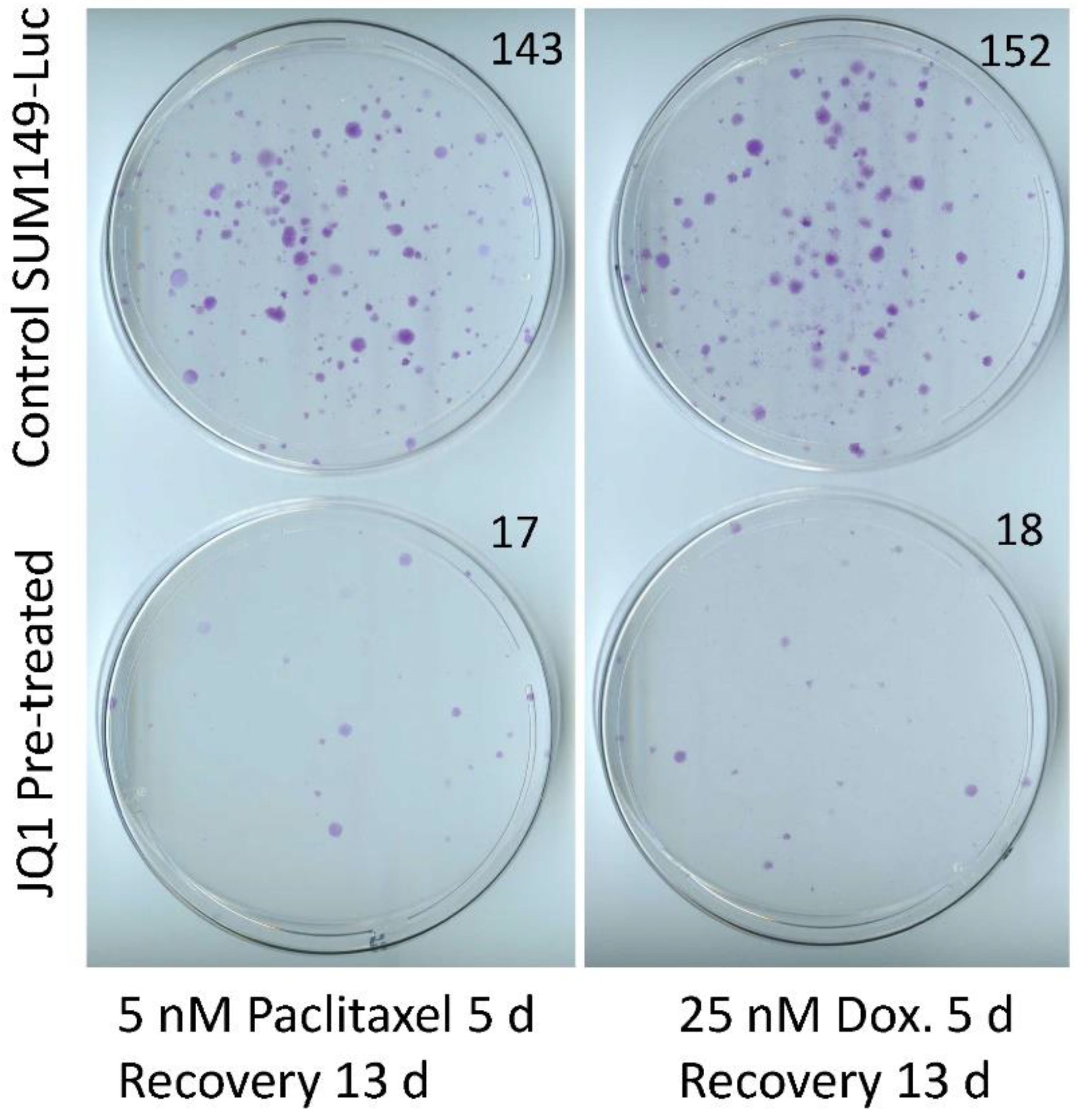 Cancers 15 02036 g003 Cancers 15 02036 g003