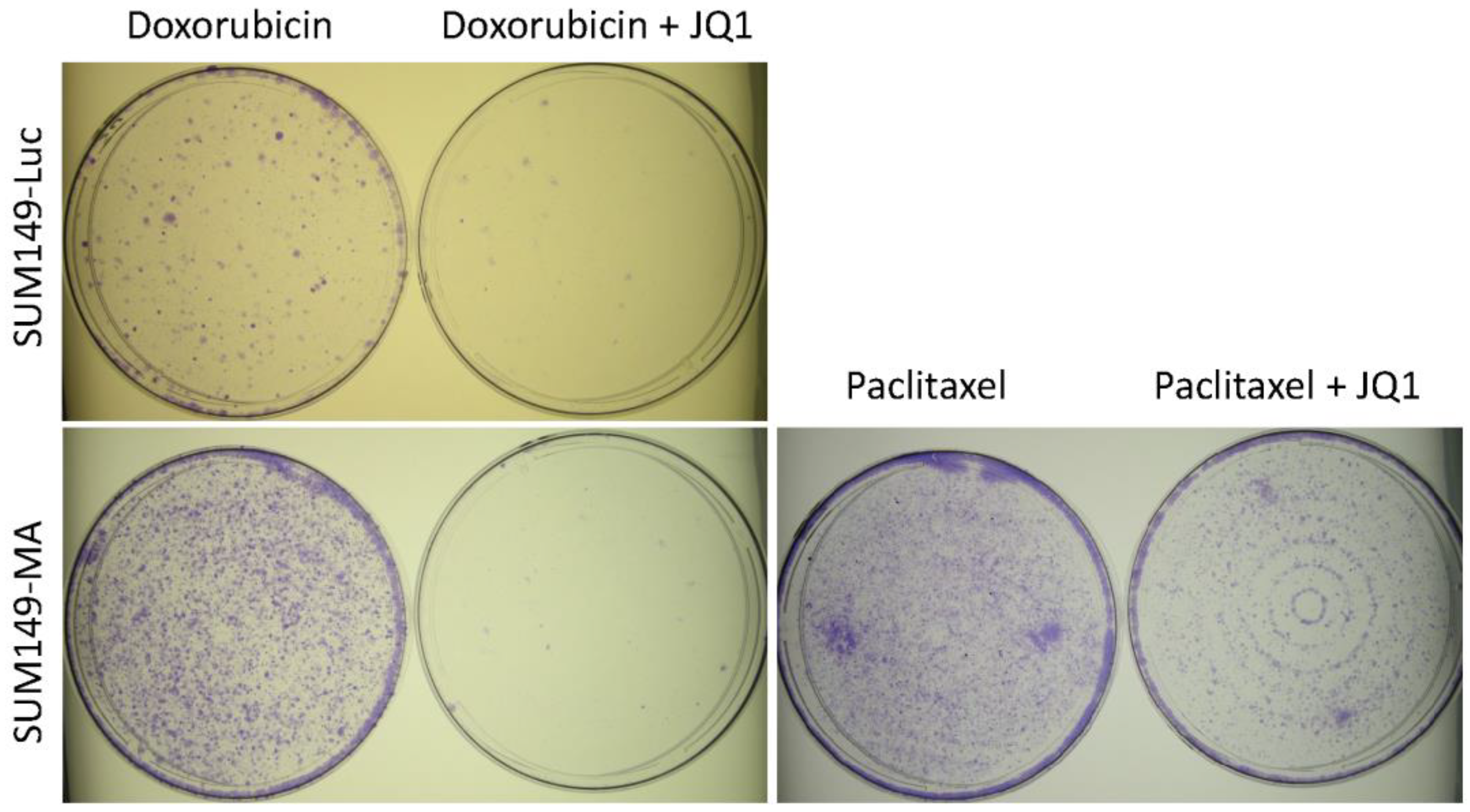 Cancers 15 02036 g004 Cancers 15 02036 g004