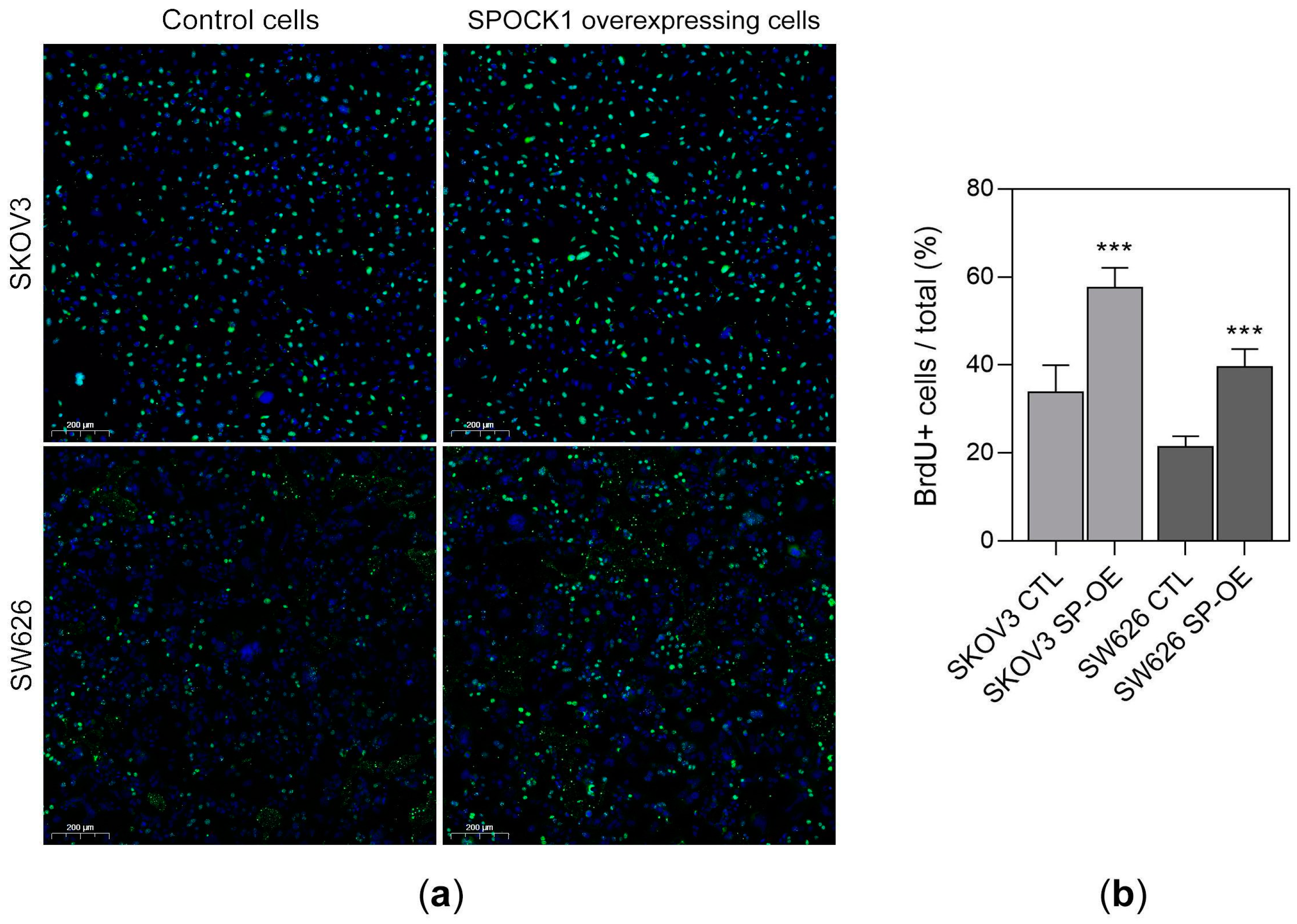 Cancers 15 02037 g005