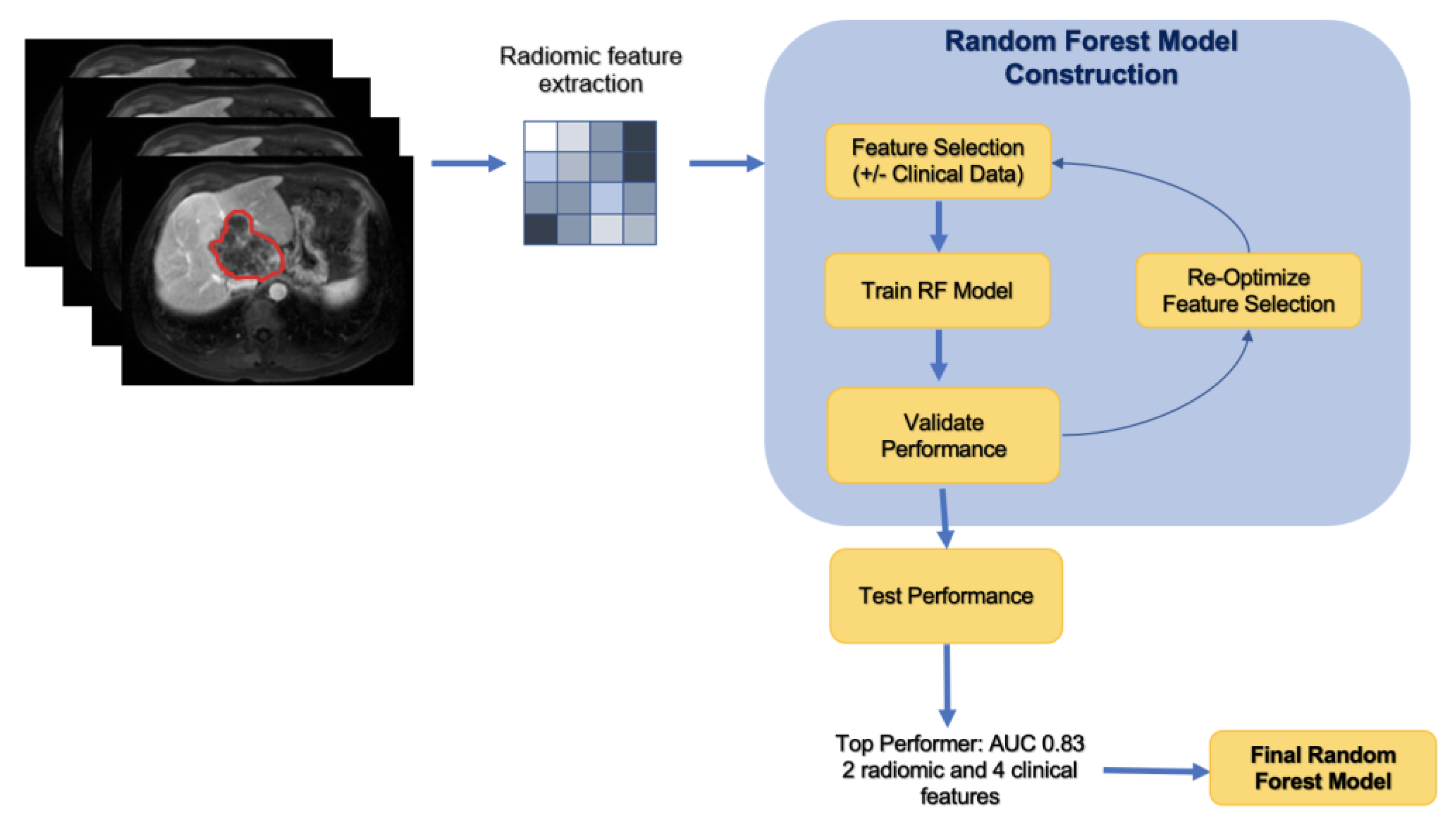 Cancers 15 02058 g001