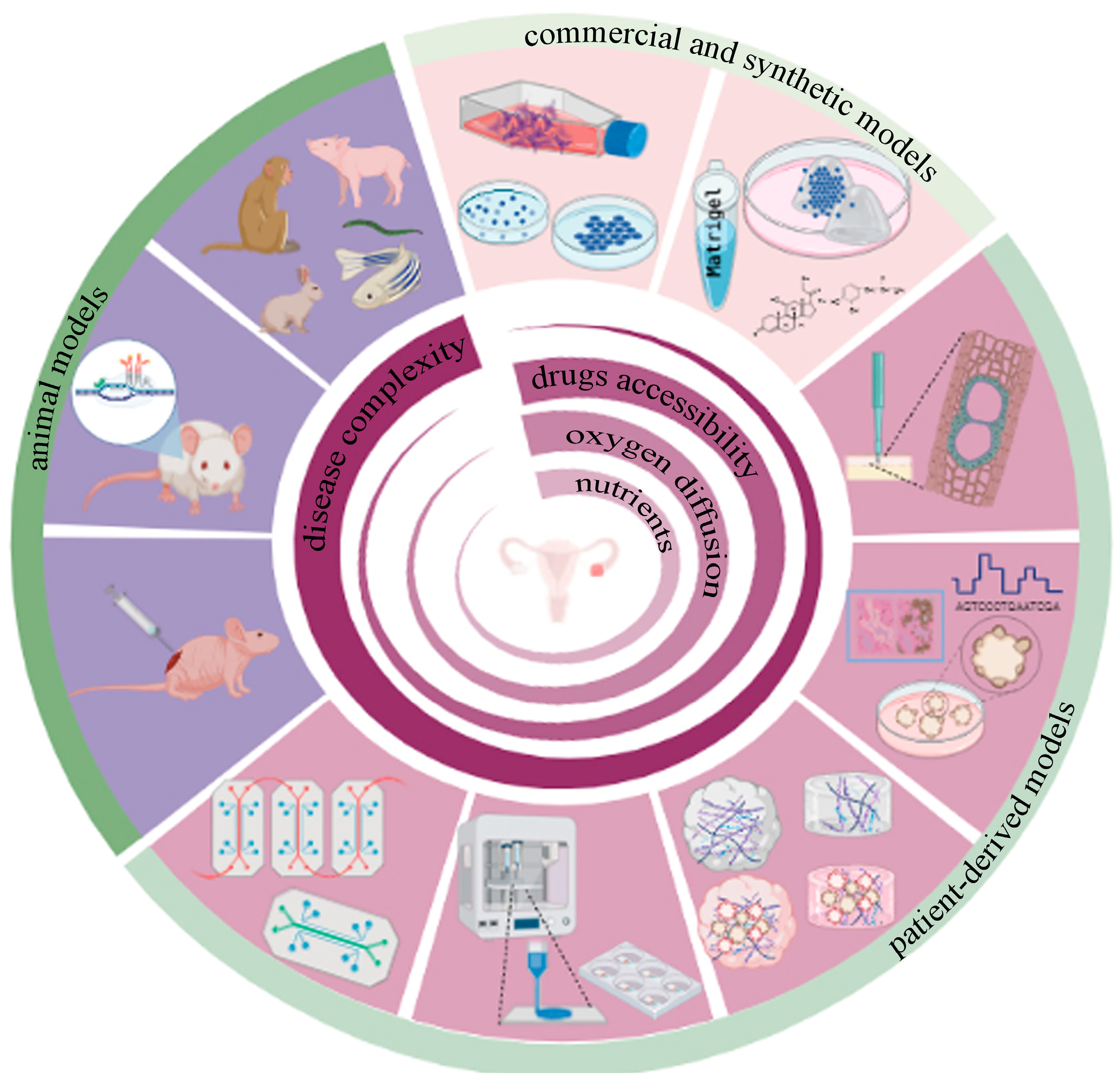 Cancers 15 02059 g001