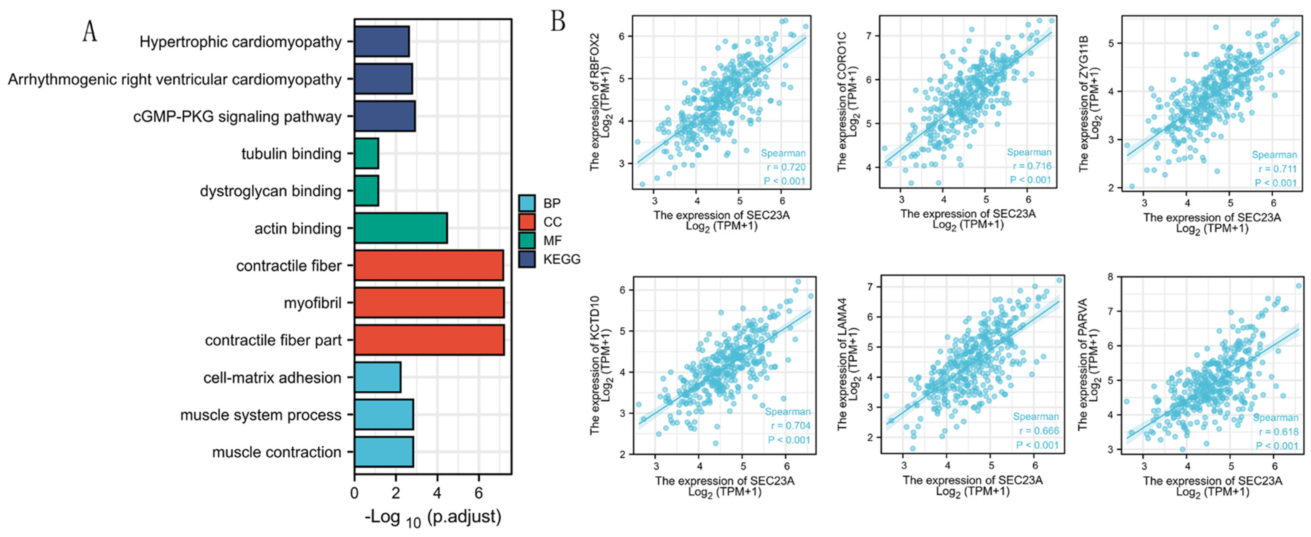 Cancers 15 02065 g004