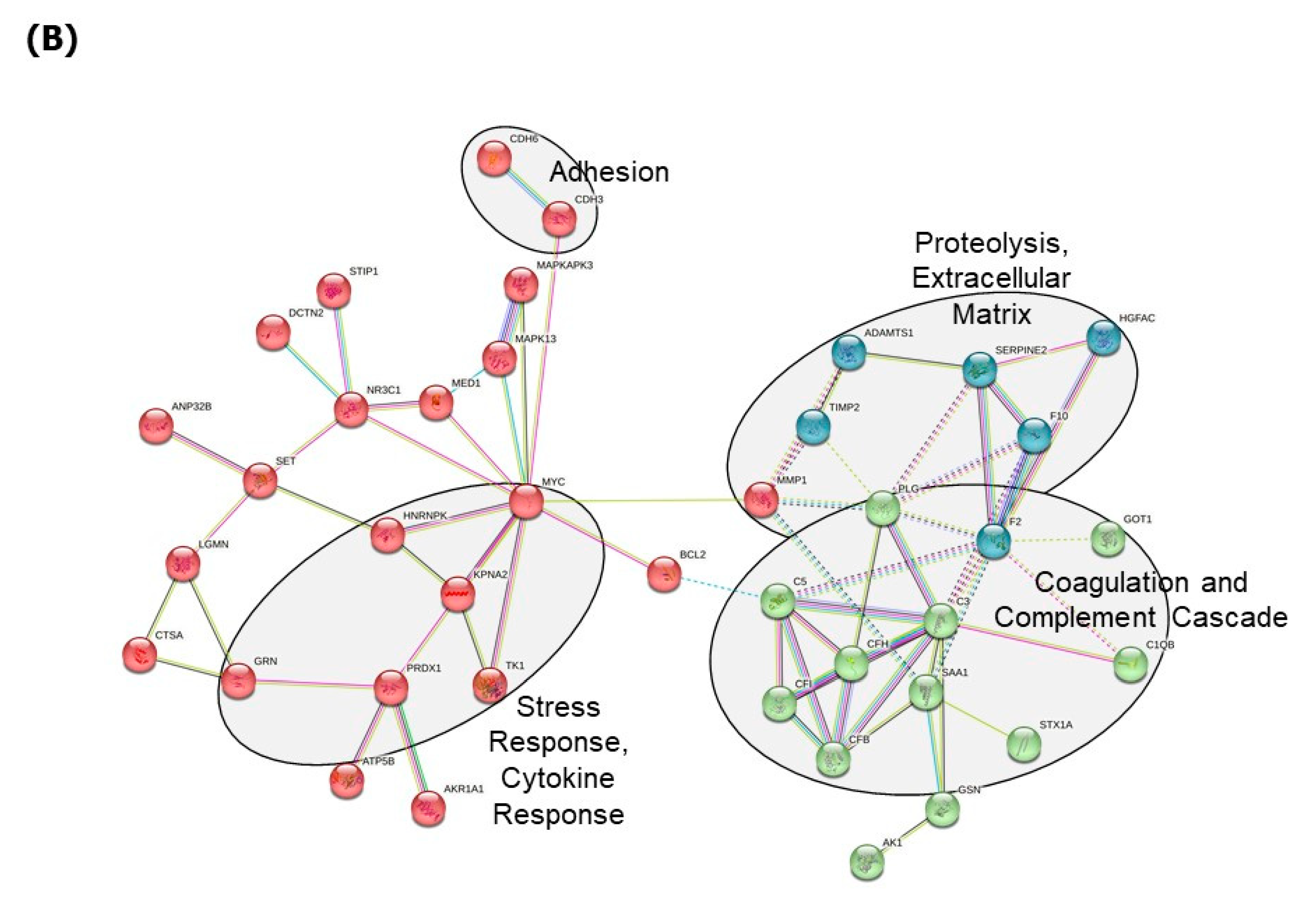 Cancers 15 02071 g002b Cancers 15 02071 g002b