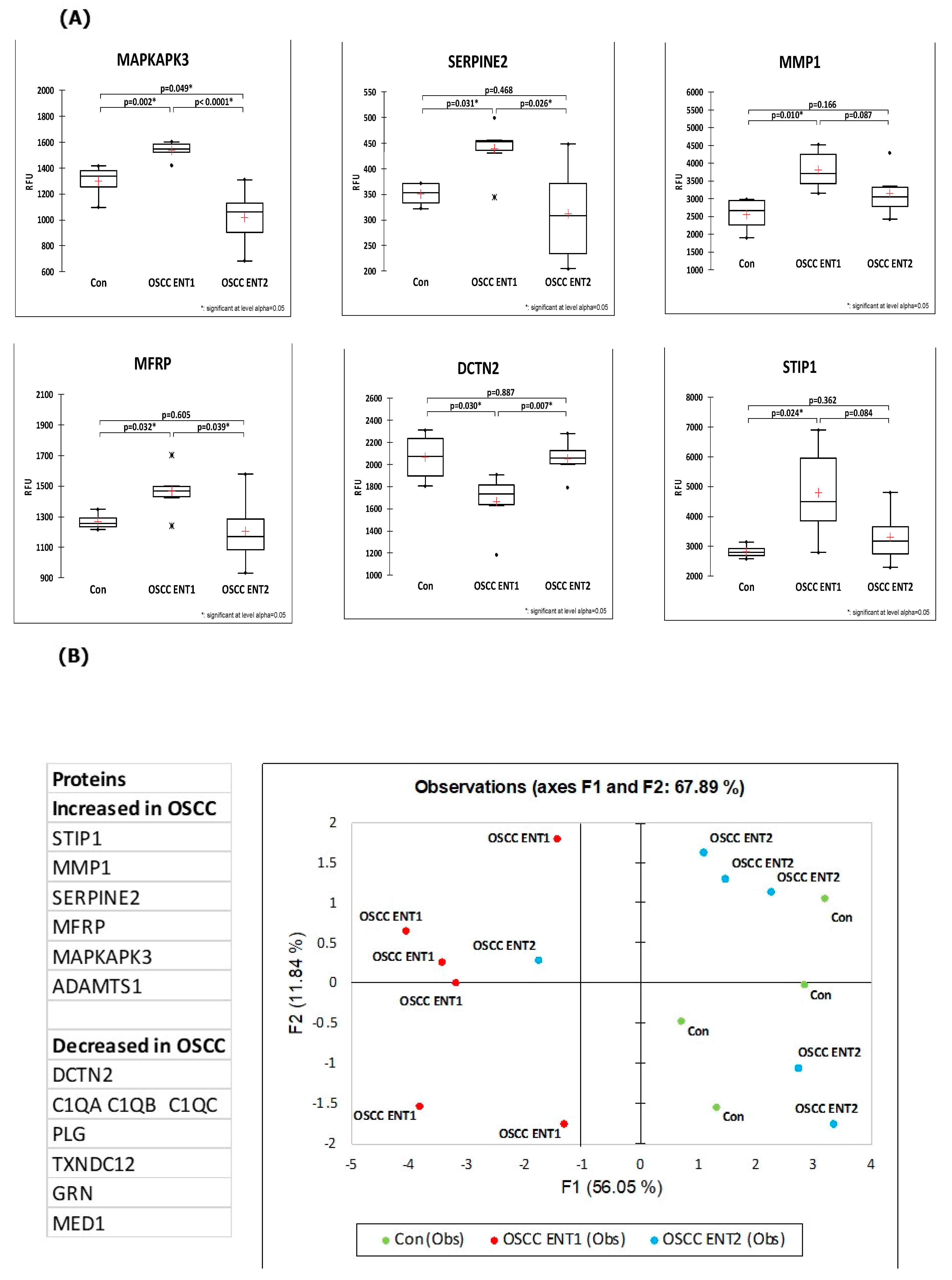 Cancers 15 02071 g004 Cancers 15 02071 g004