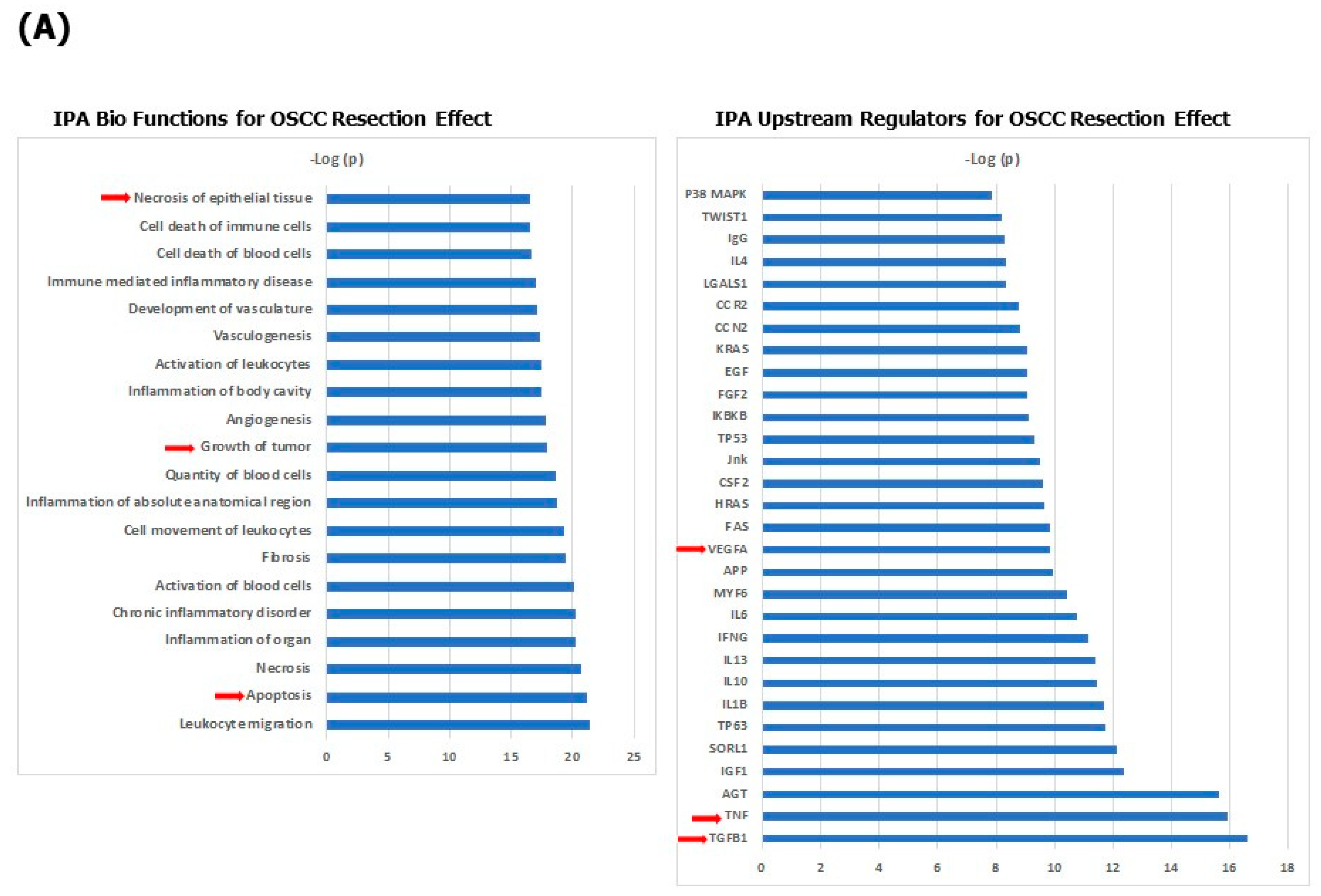 Cancers 15 02071 g005a Cancers 15 02071 g005a