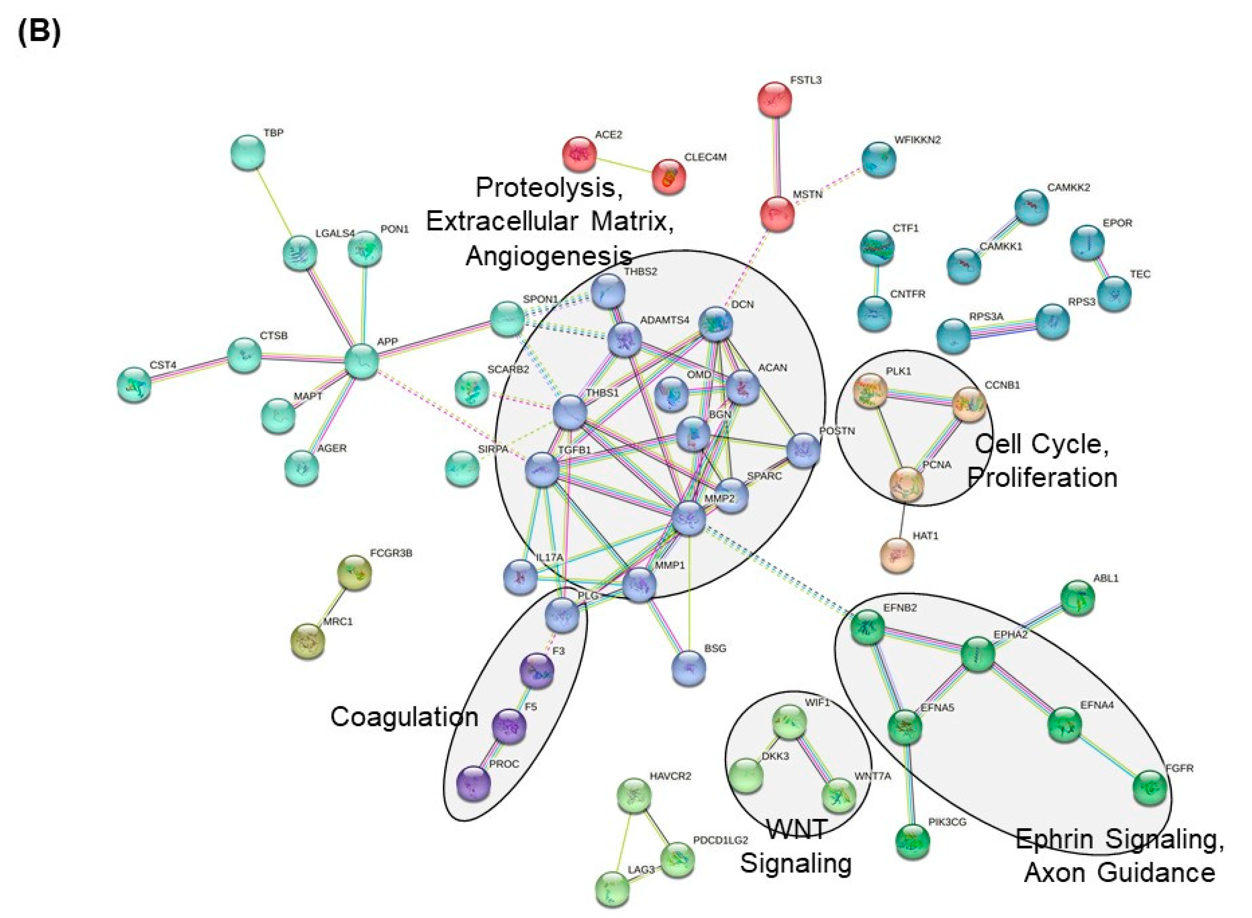 Cancers 15 02071 g005b Cancers 15 02071 g005b