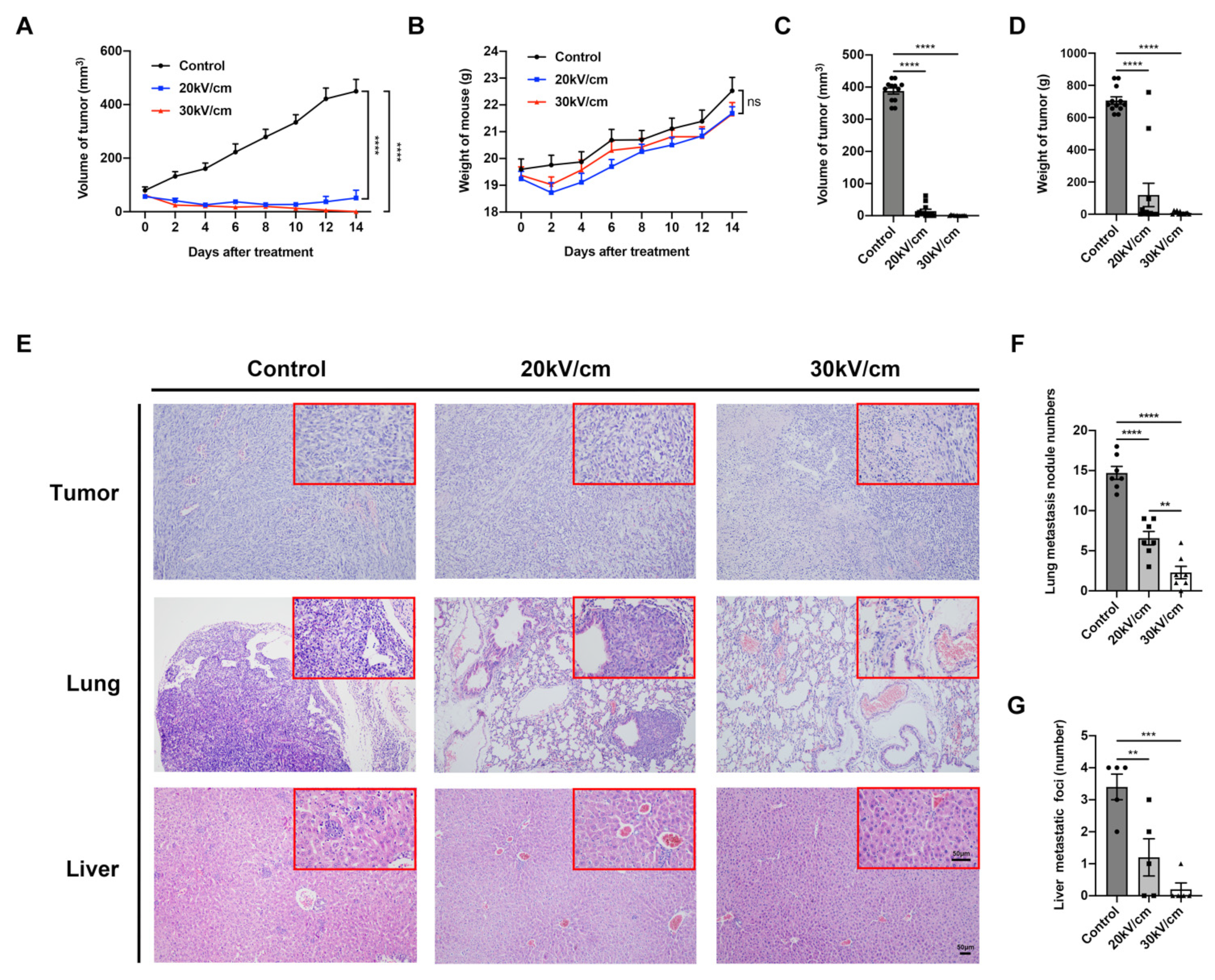 Cancers 15 02076 g002