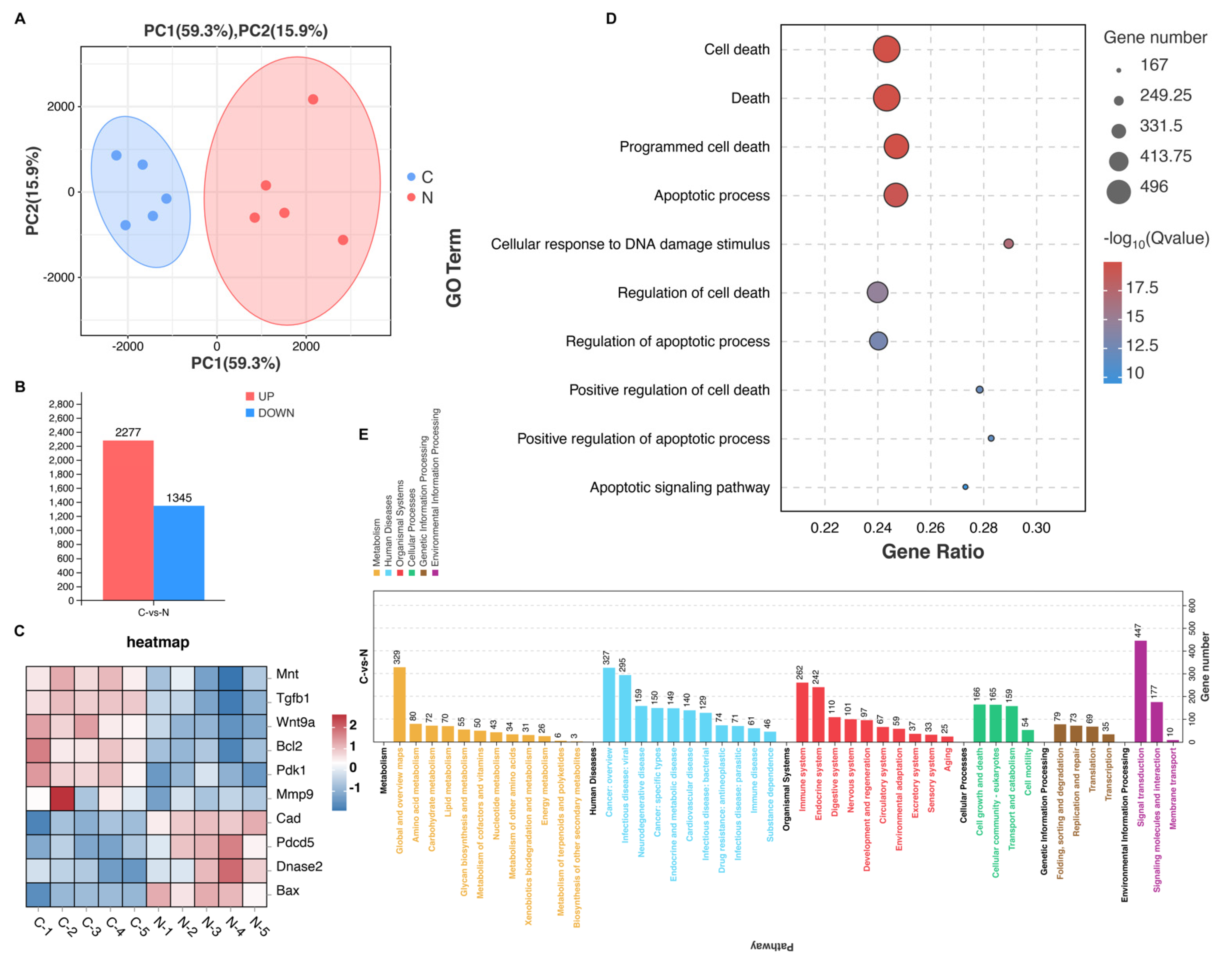 Cancers 15 02076 g004