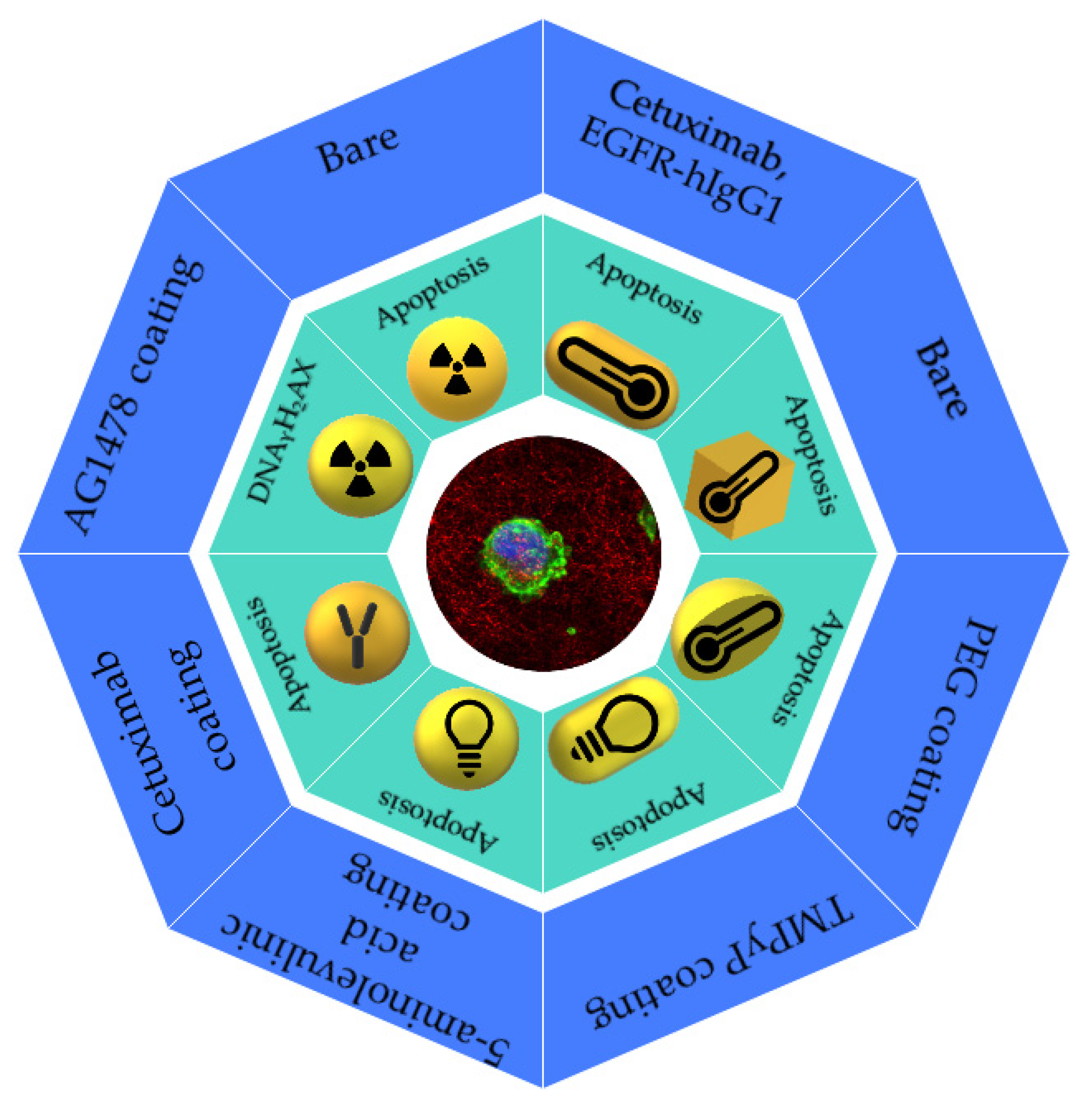 Cancers 15 02080 g003